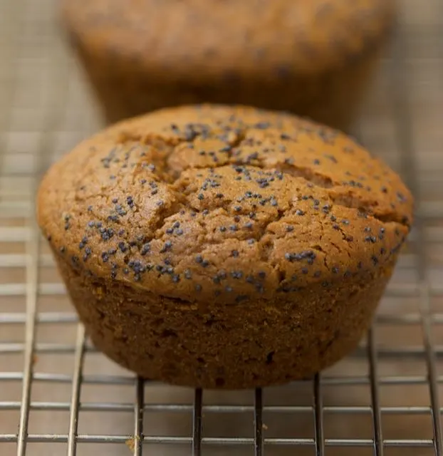 lemon-and-poppyseed-muffins