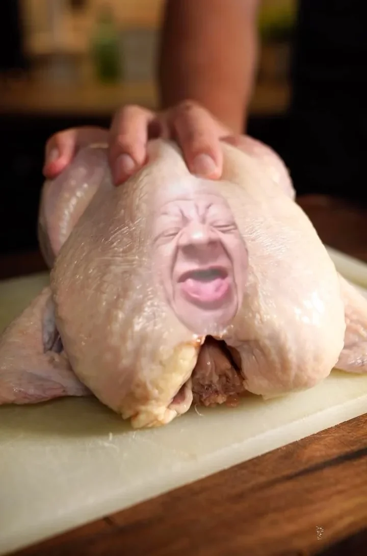 chicken-pollo-shells