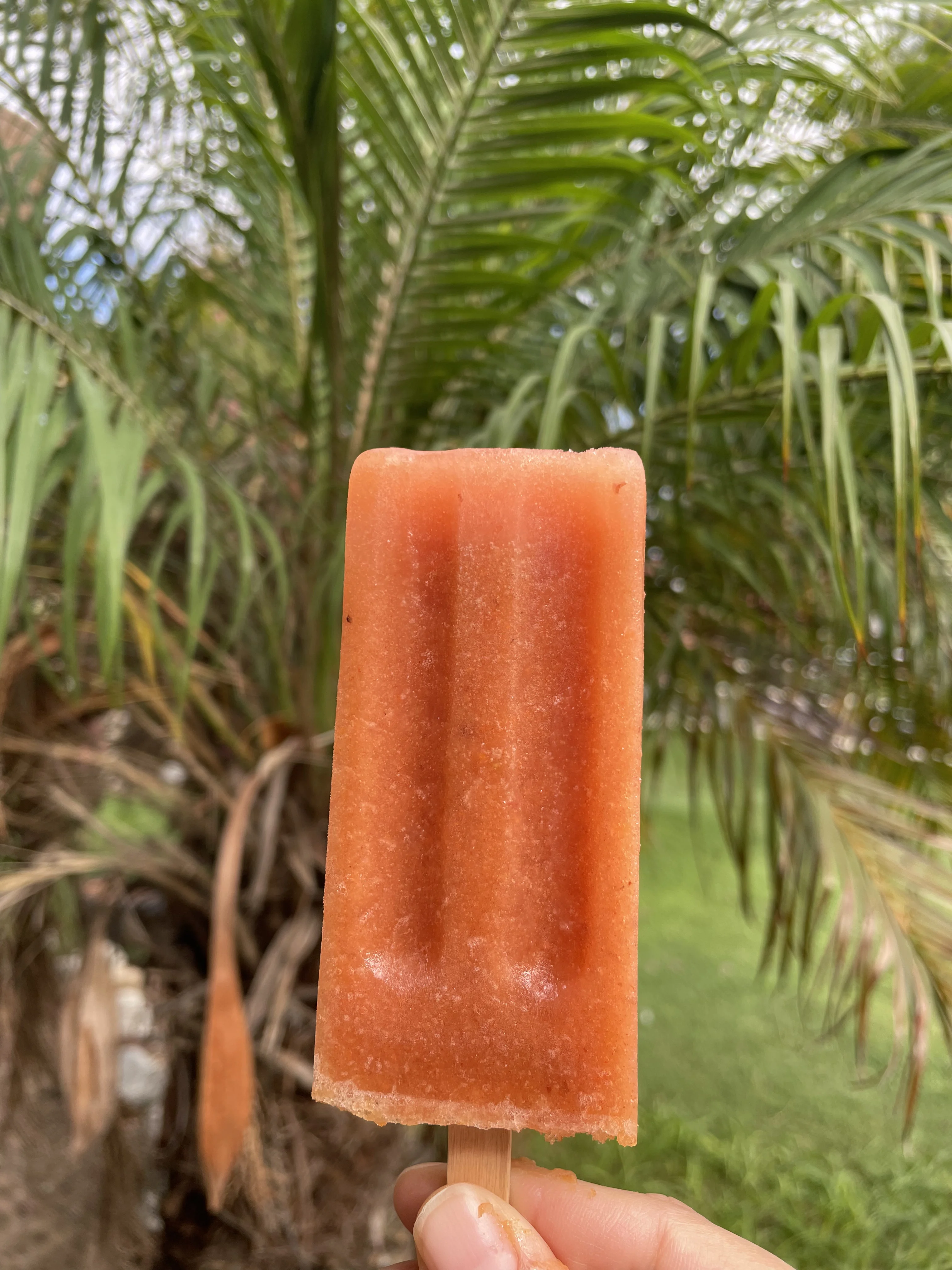 tropical-turmeric-popsicles