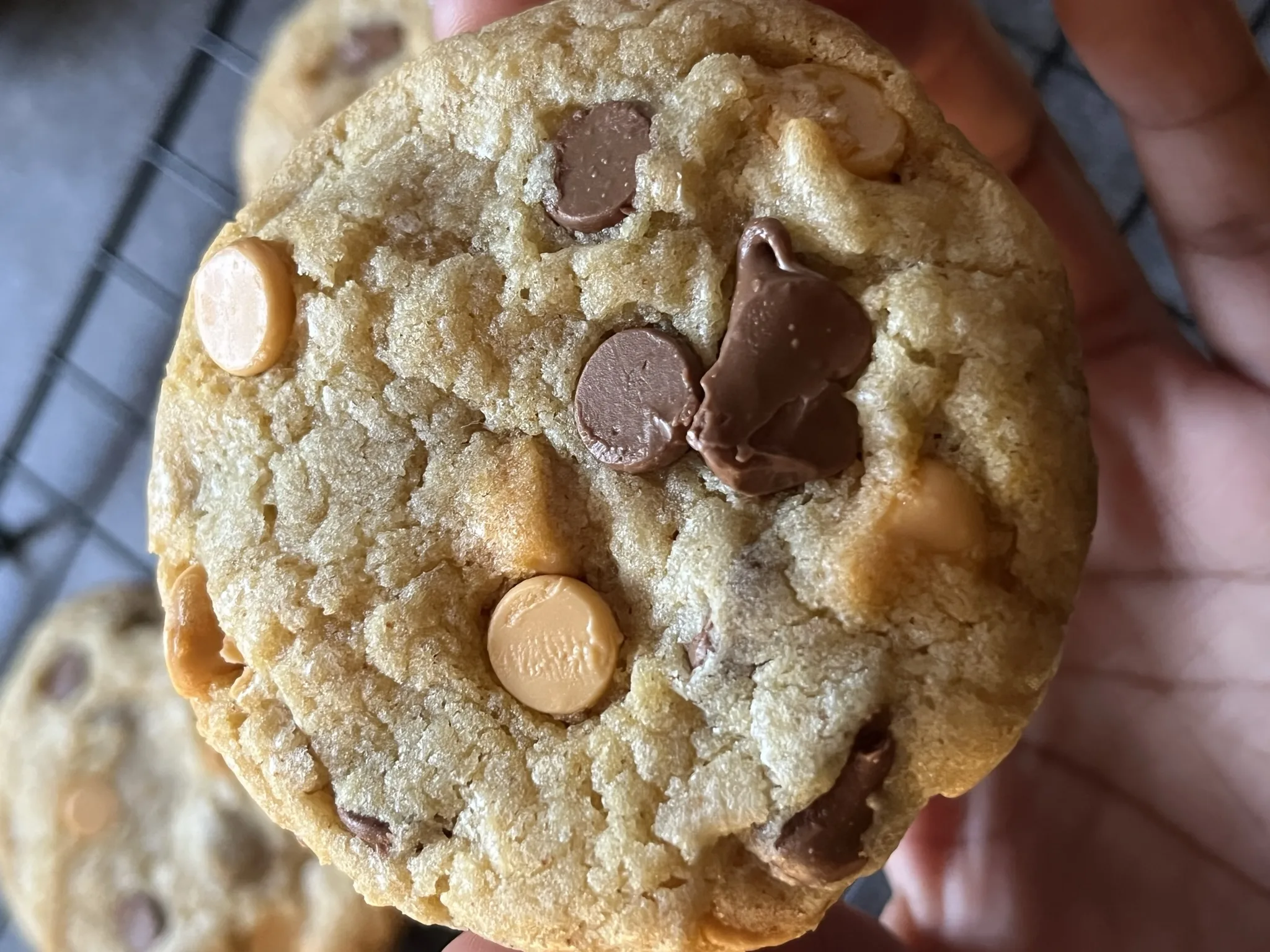 brown-butter-butterscotch-chocolate-chip-cookies