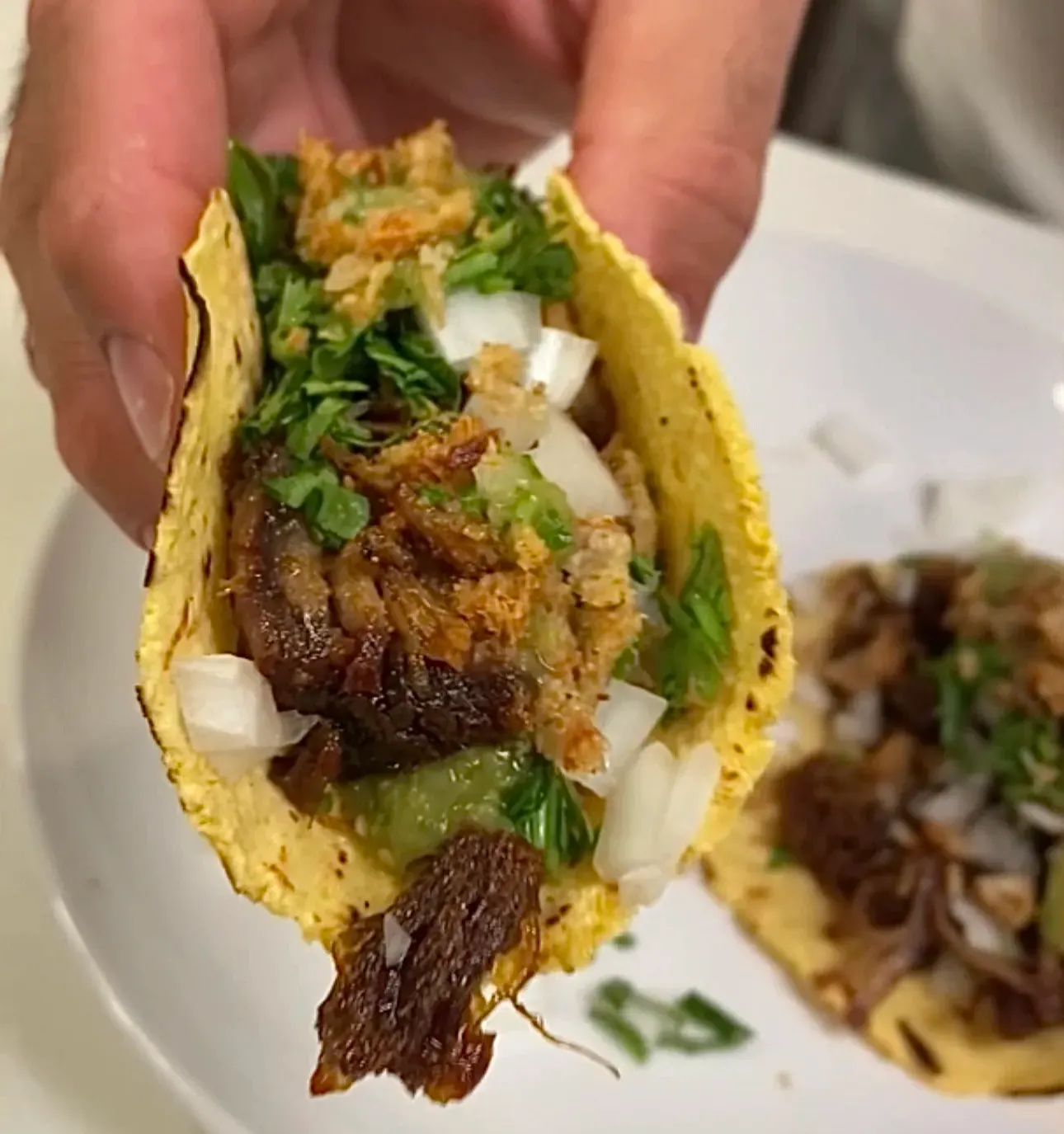 carnitas-tacos