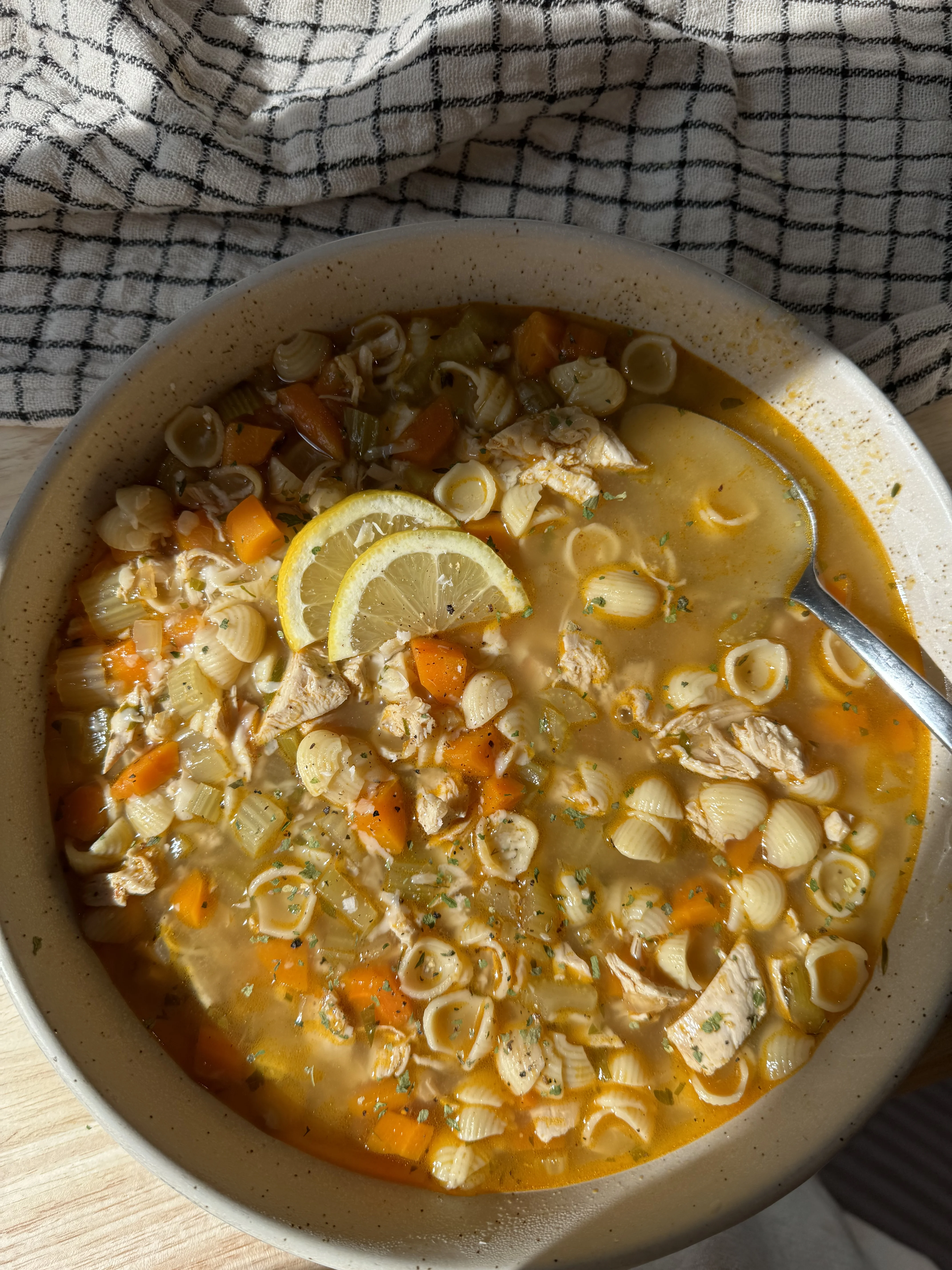 chicken-noodle-soup
