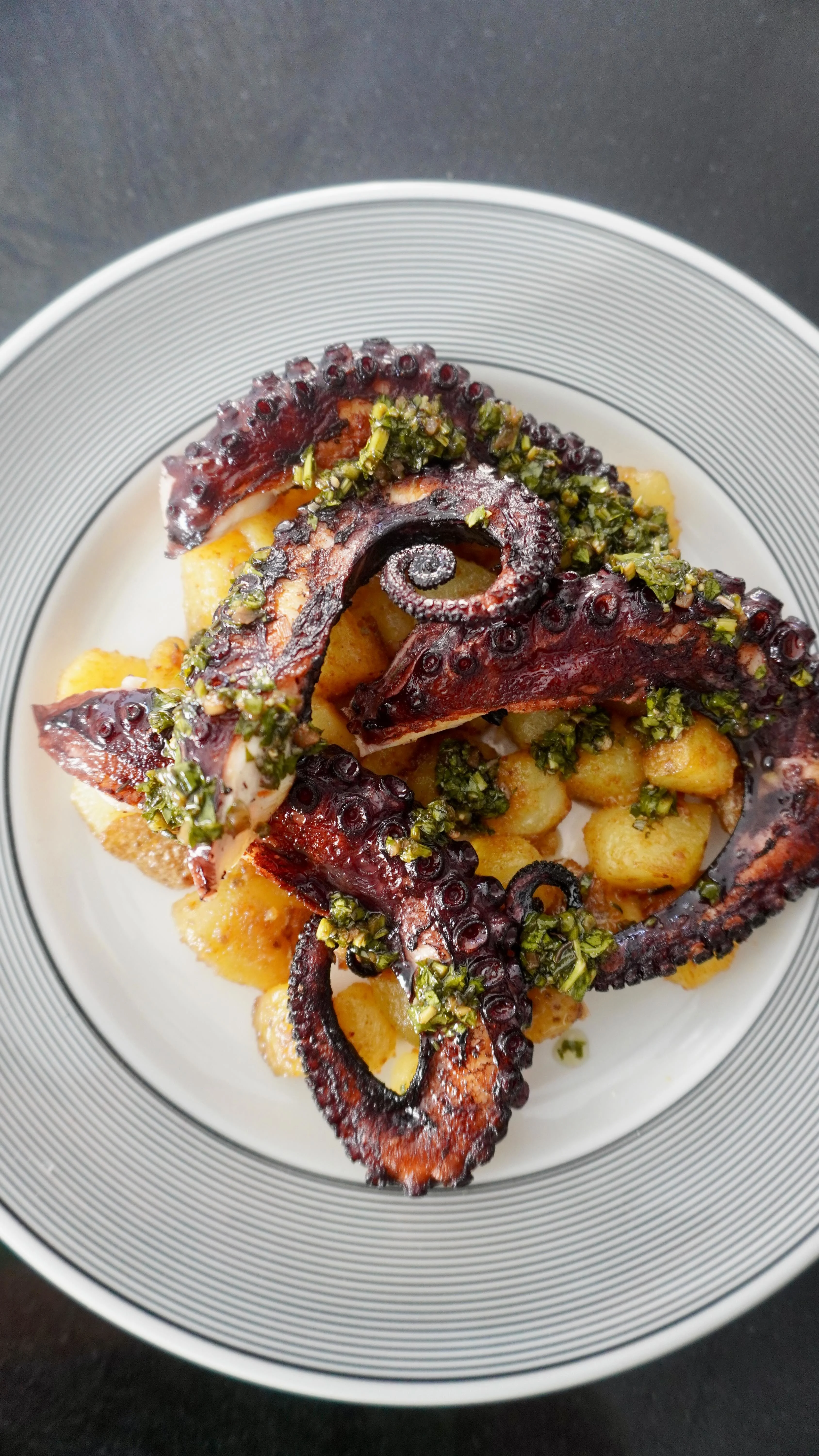 pulpo-octopus
