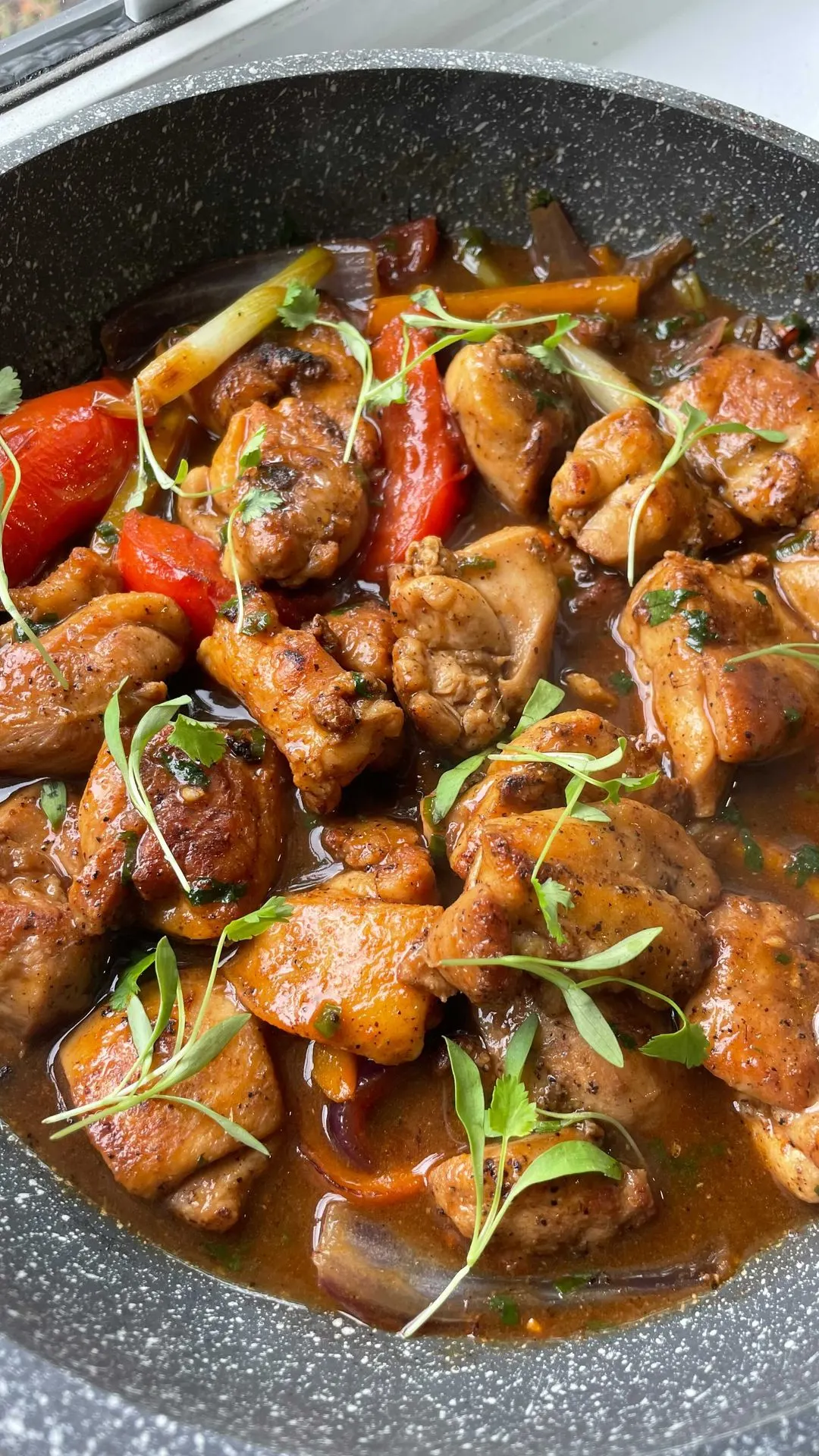 pollo-saltado