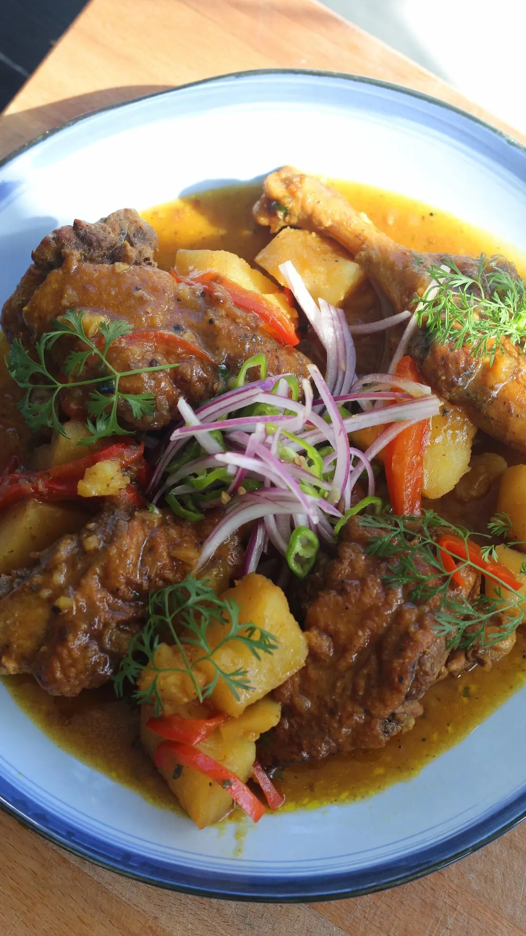 ceviche-de-pato-duck-stew