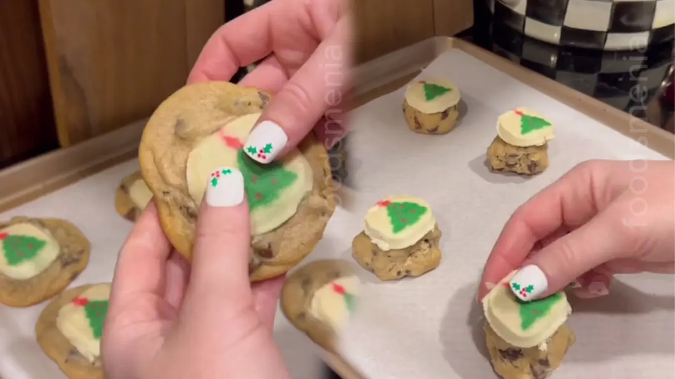 enjoy-delicious-chip-sugar-cookie-recipes:-easy-decorated-and-more!