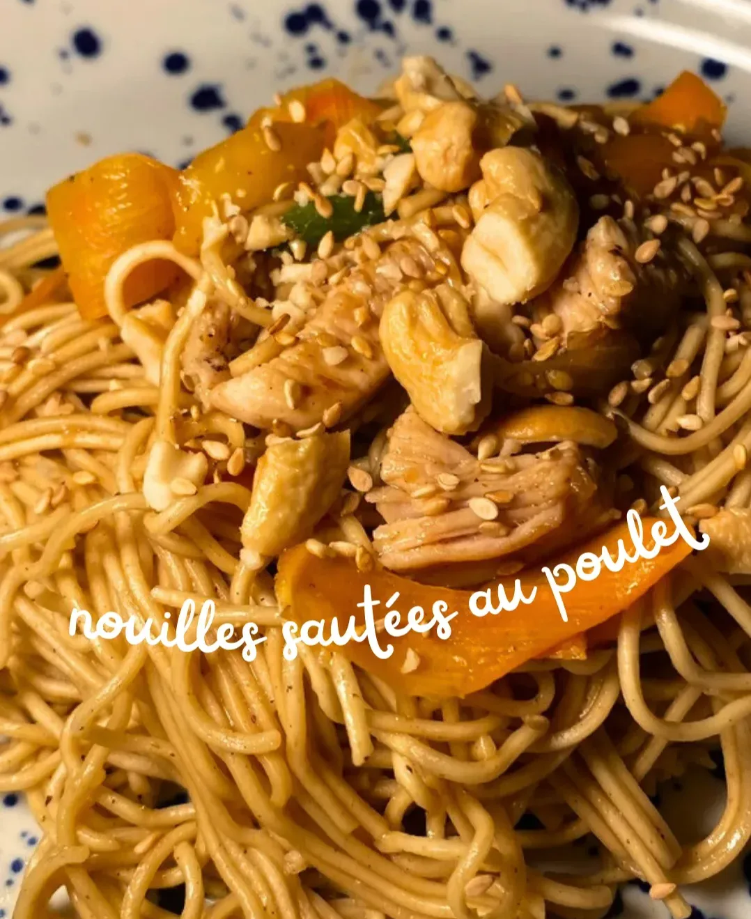 nouilles-sautees-poulet-noix-de-cajou-and-petits-legumes