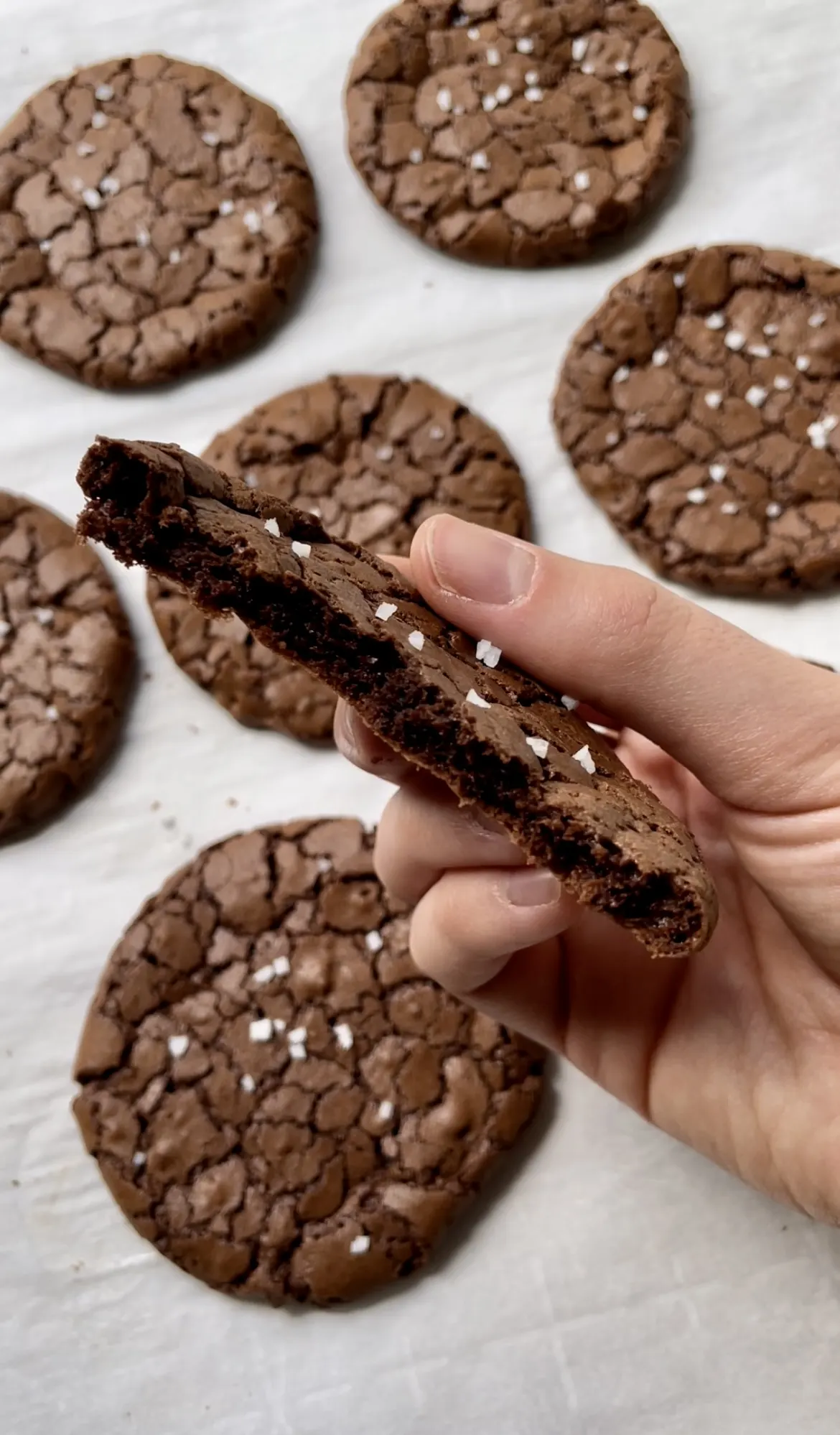 brownie-crinkle-cookies