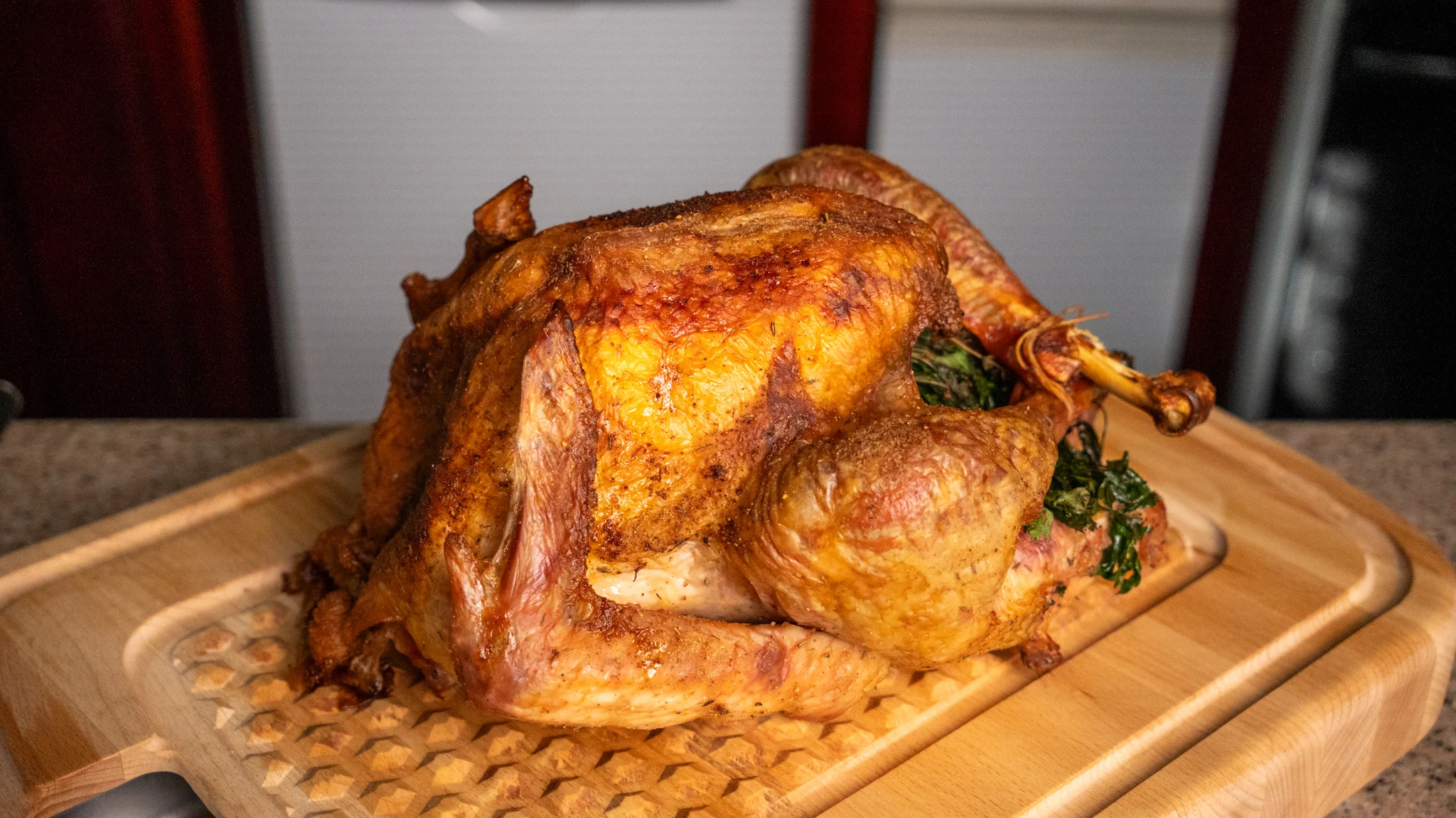 thanksgiving-turkey