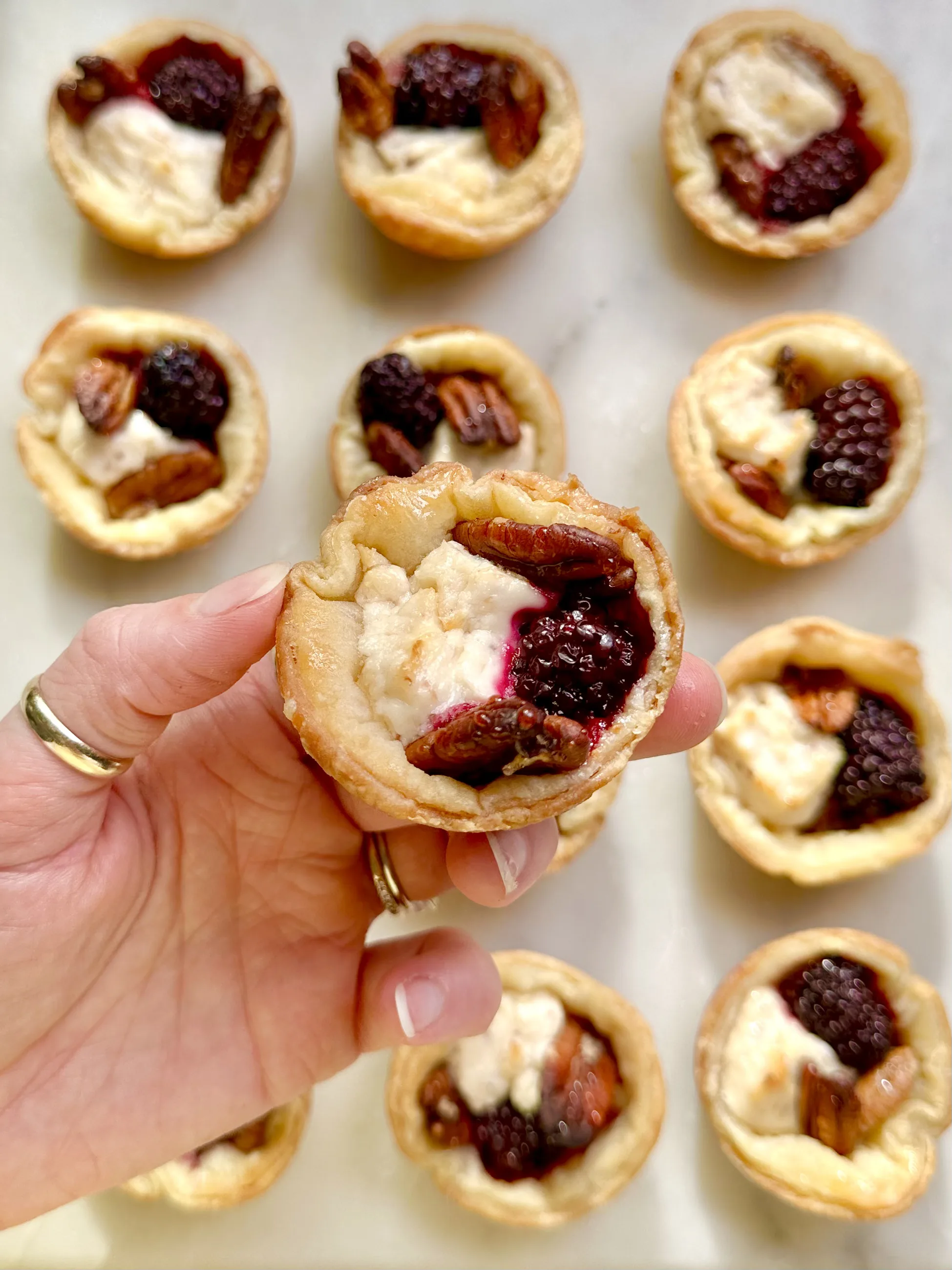 goat-chzzz-blackberry-n'-pecan-pastry-bitez