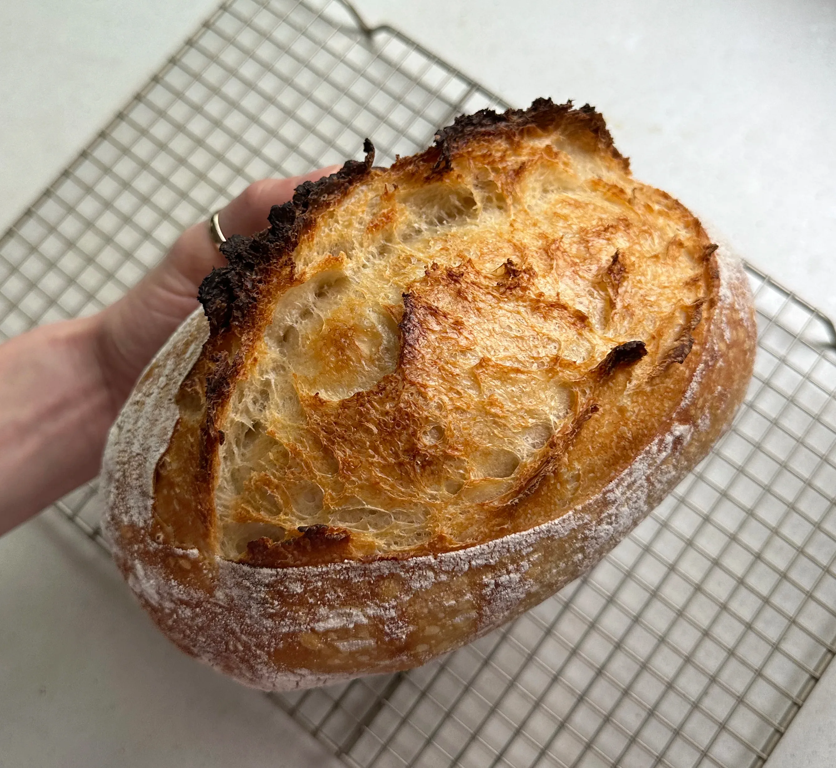 big-einkorn-sourdough-loafs