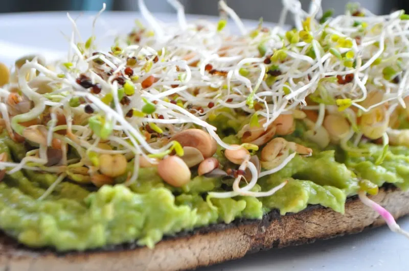 smashed-avocado-and-broccoli-sprouts-on-toast