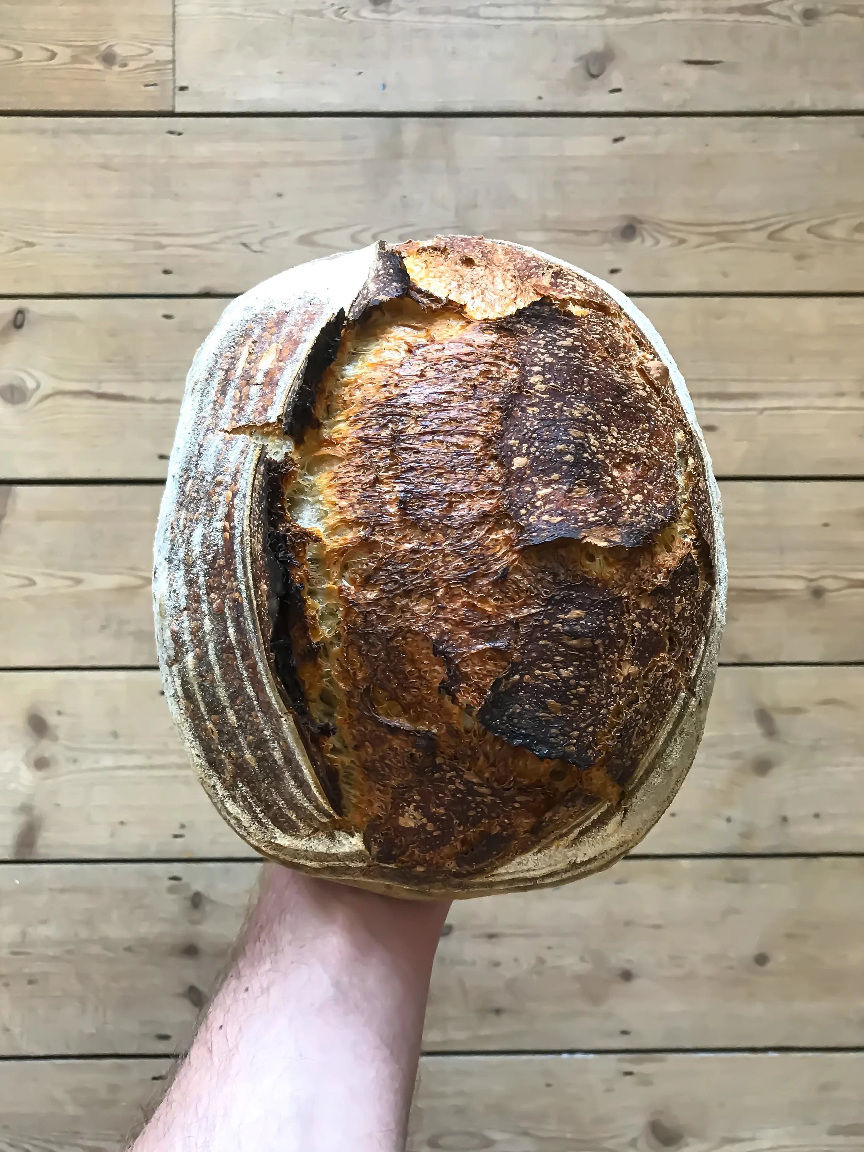 sourdough-bread