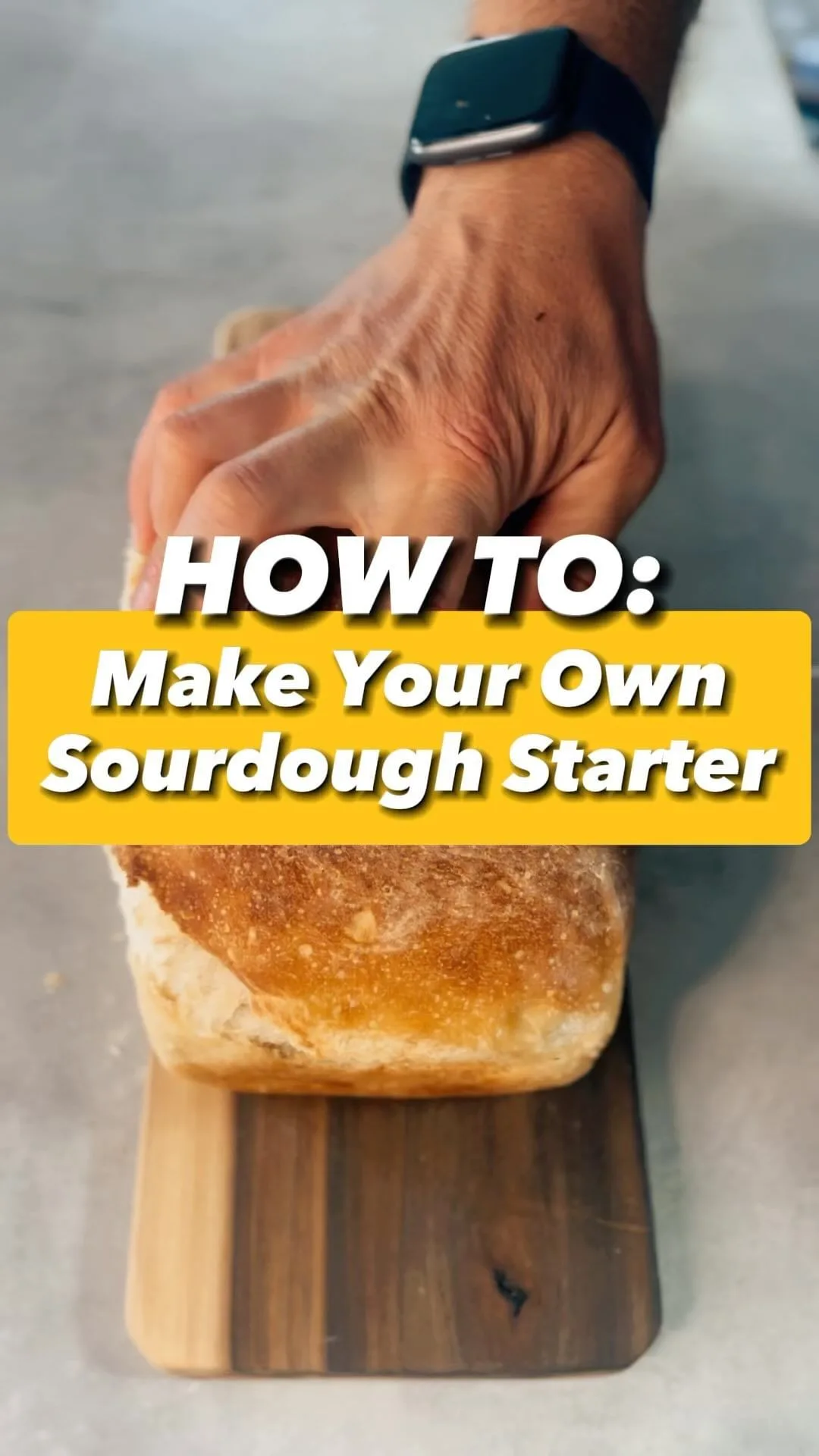 sourdough-starter