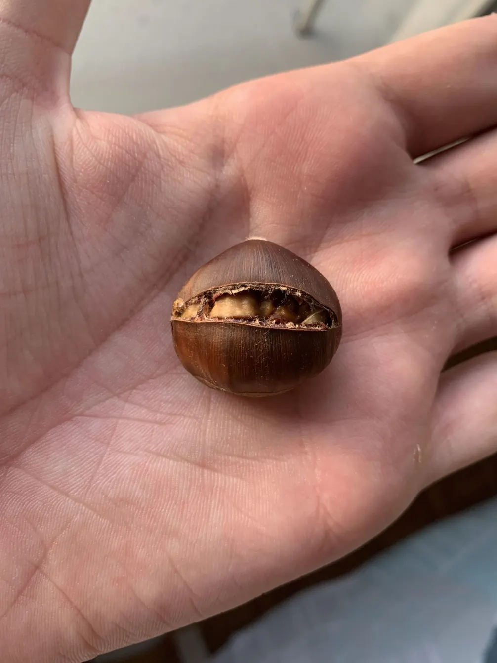 oven-baked-chestnuts