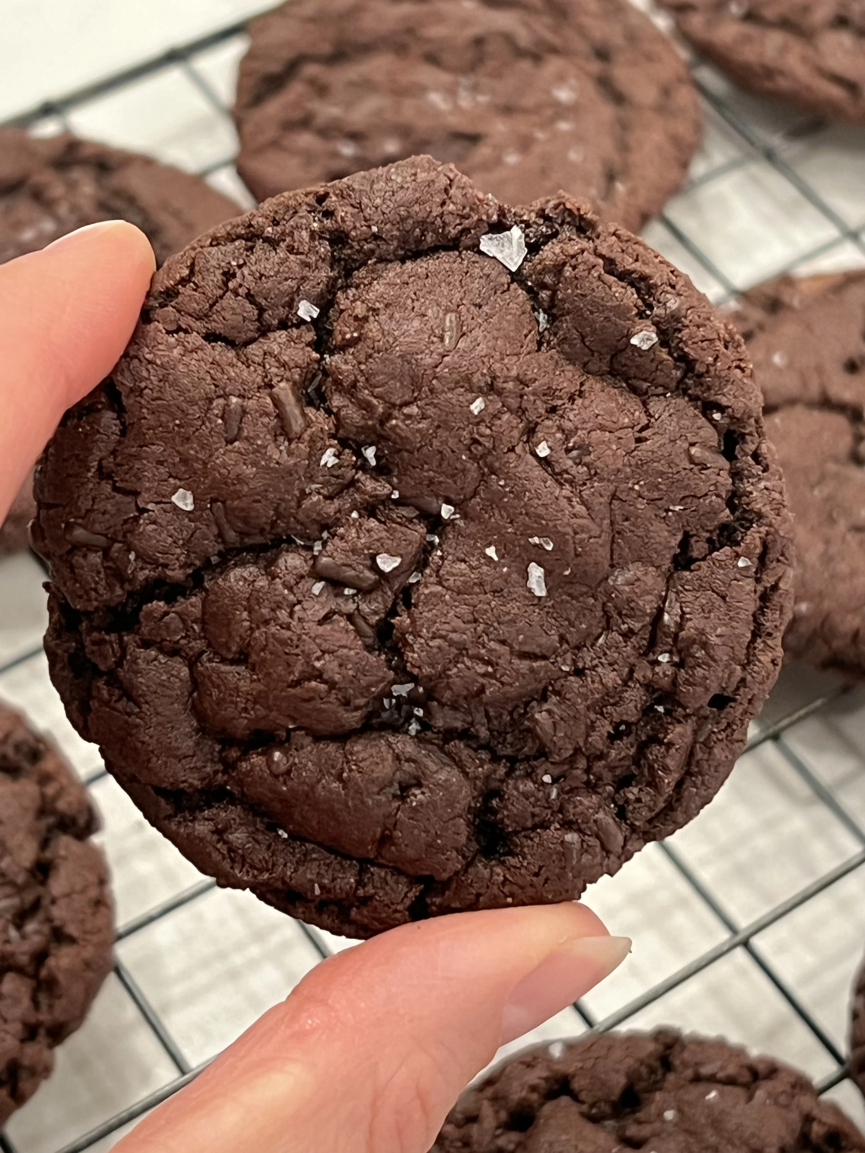 chocolate-crinkle-sprinkle-cookies