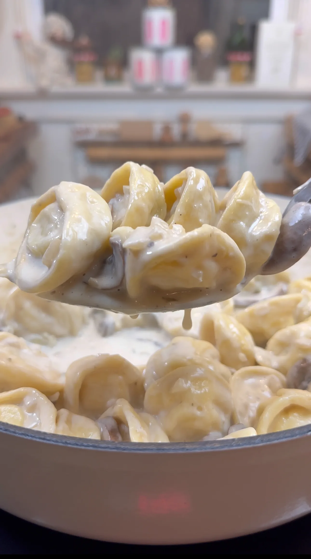 mashed-potato-cappelletti-and-mushroom-cream-sauce