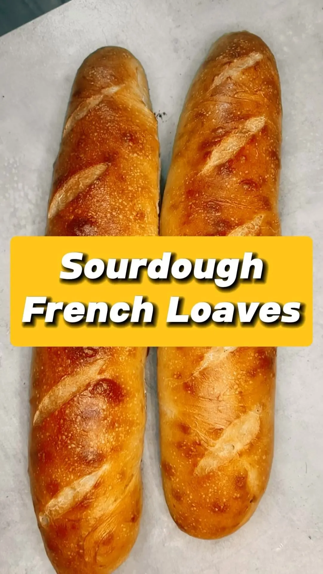 sourdough-french-loaves