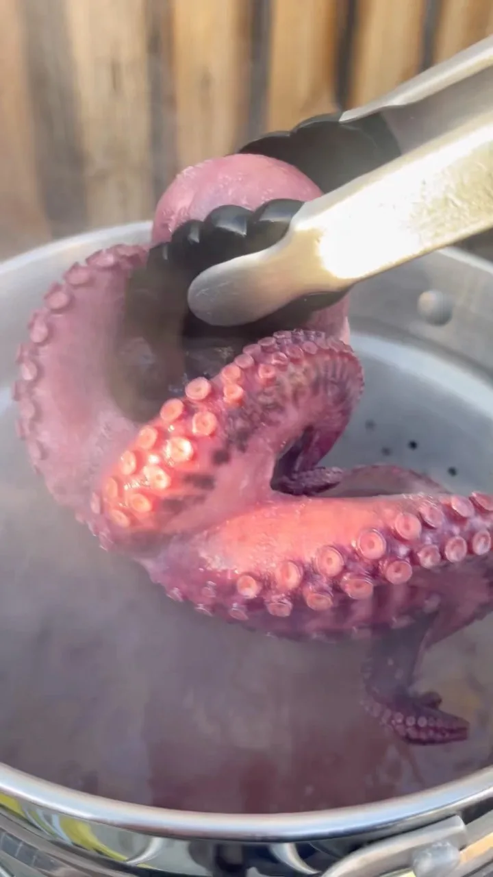 pulpo-quesadilla