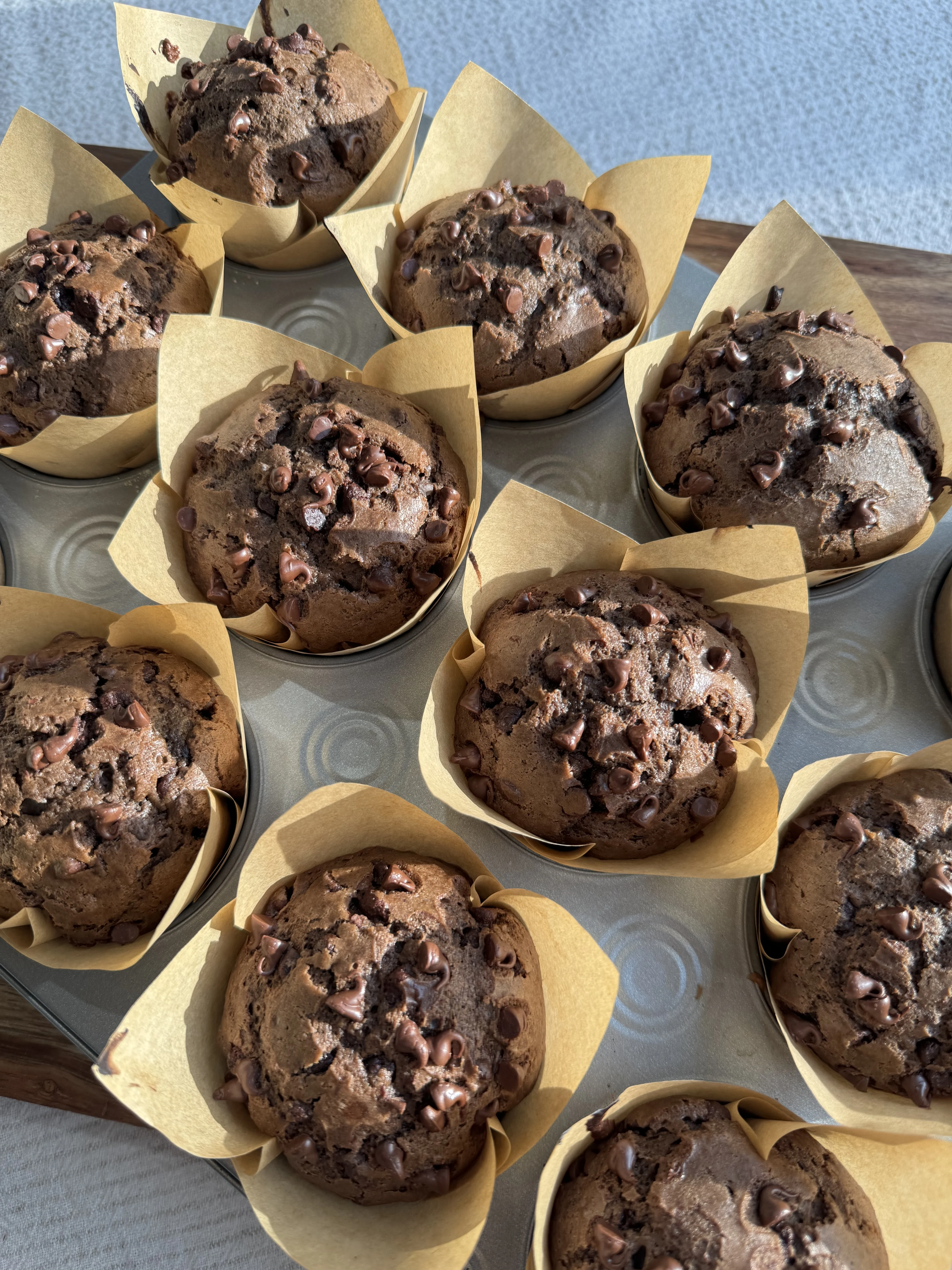 double-chocolate-muffins