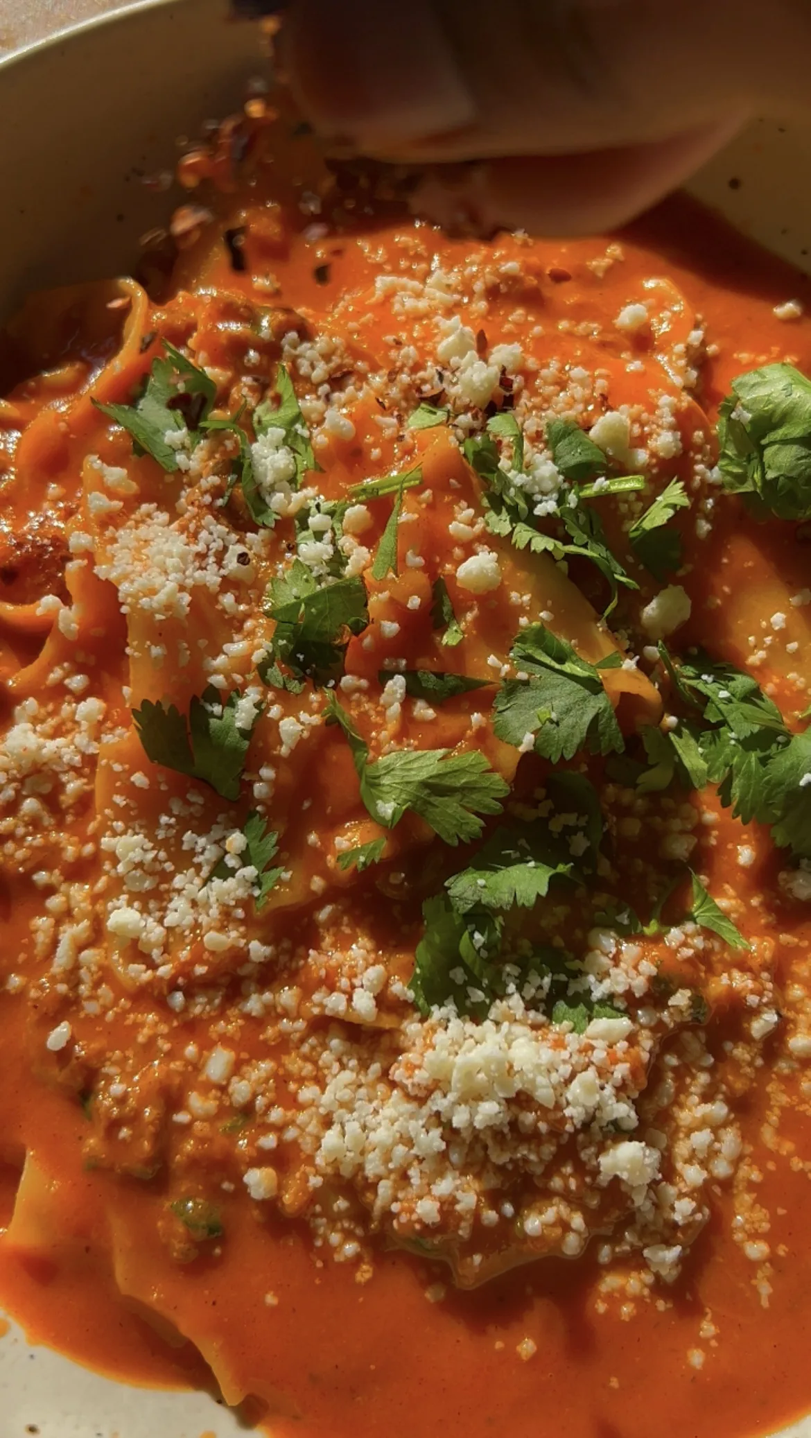 lasagna-soup-with-chorizo-chipotle-and-ancho-chili