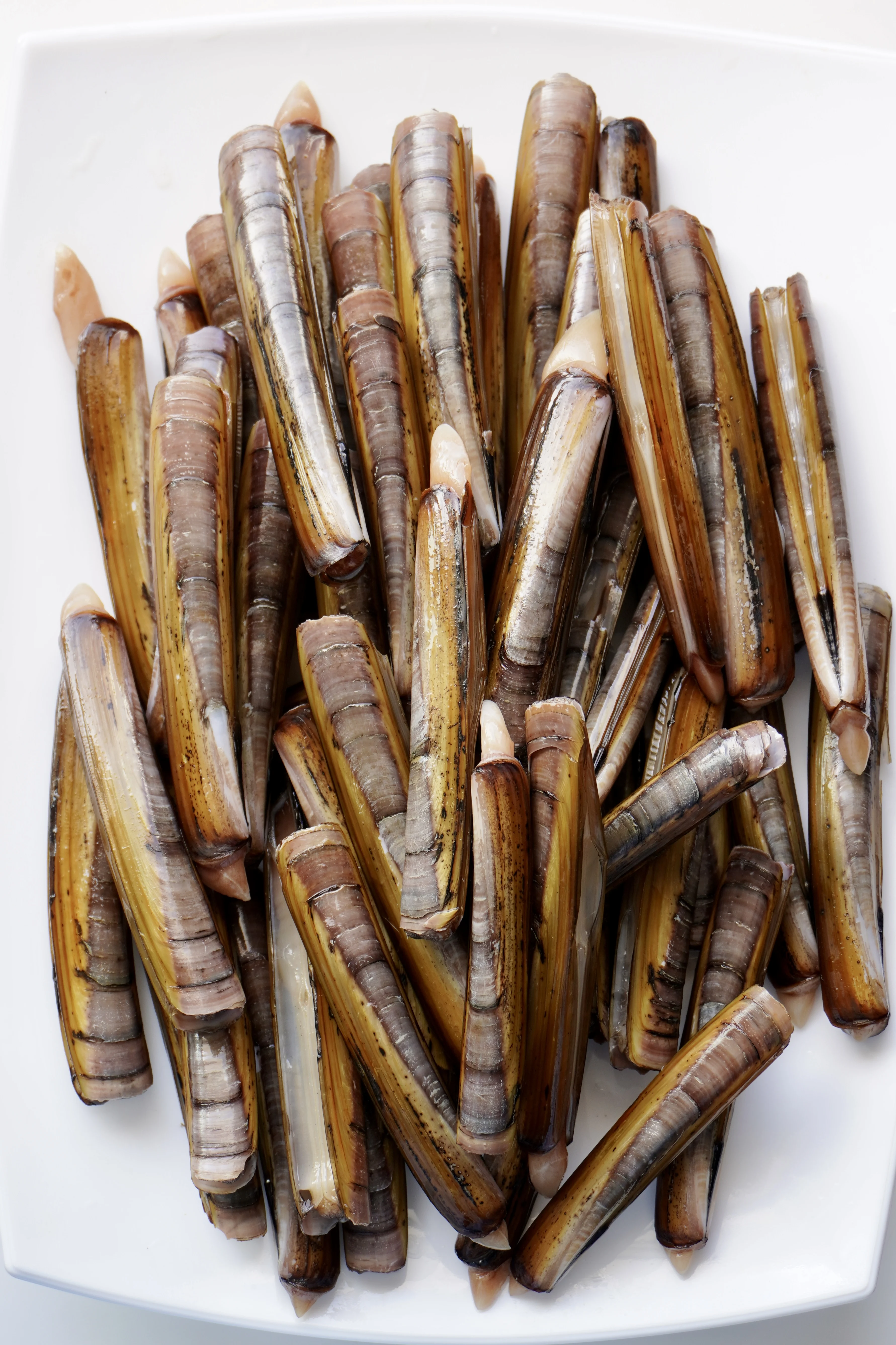 navajas-razor-clams