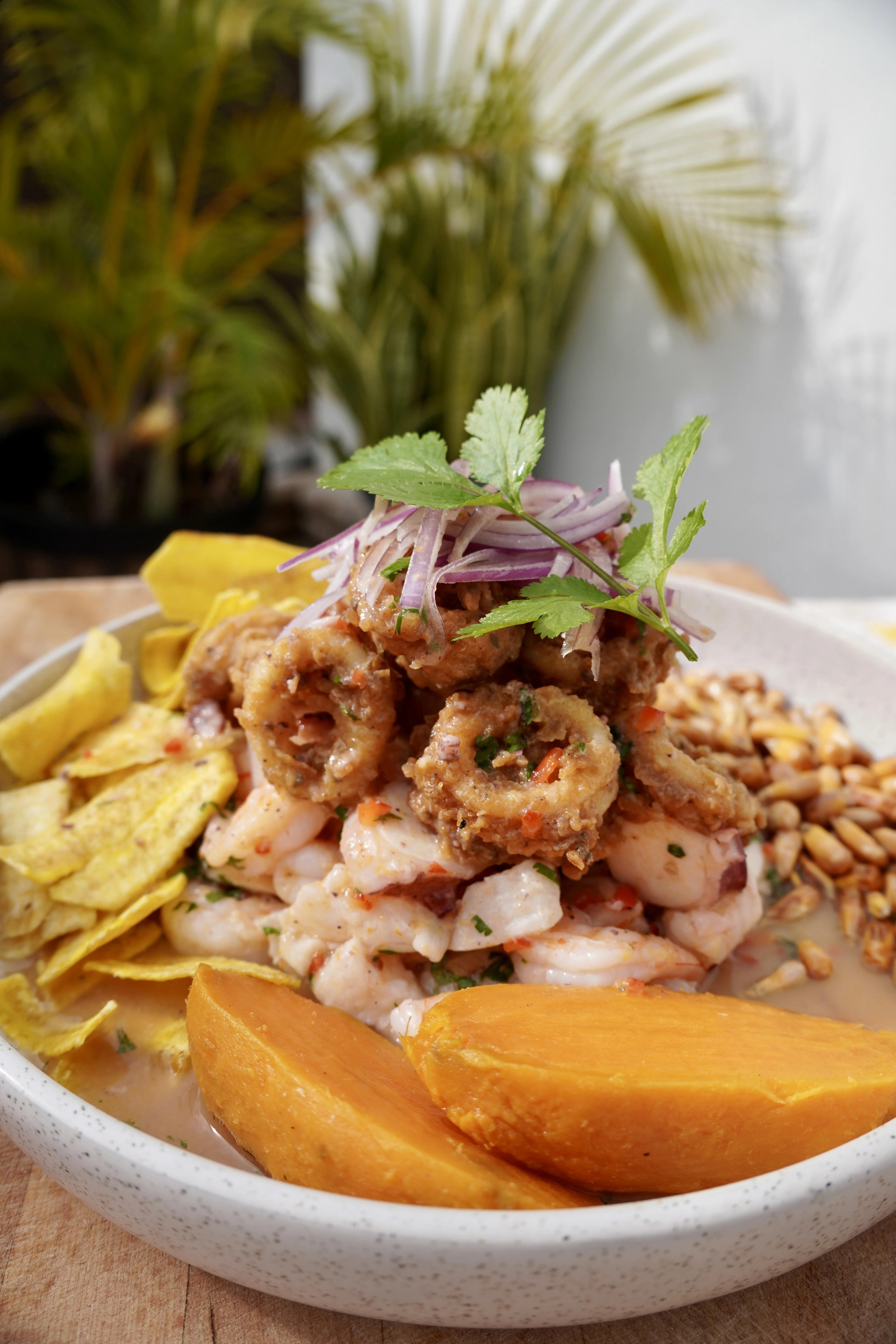 ceviche-mixto-carretillero-mixed-ceviche-and-fried-calamari