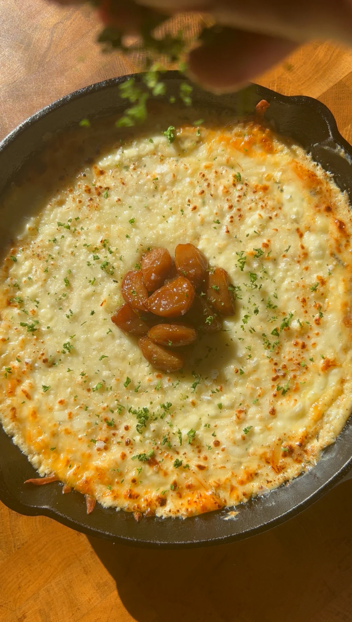 garlic-confit-alfredo-dip