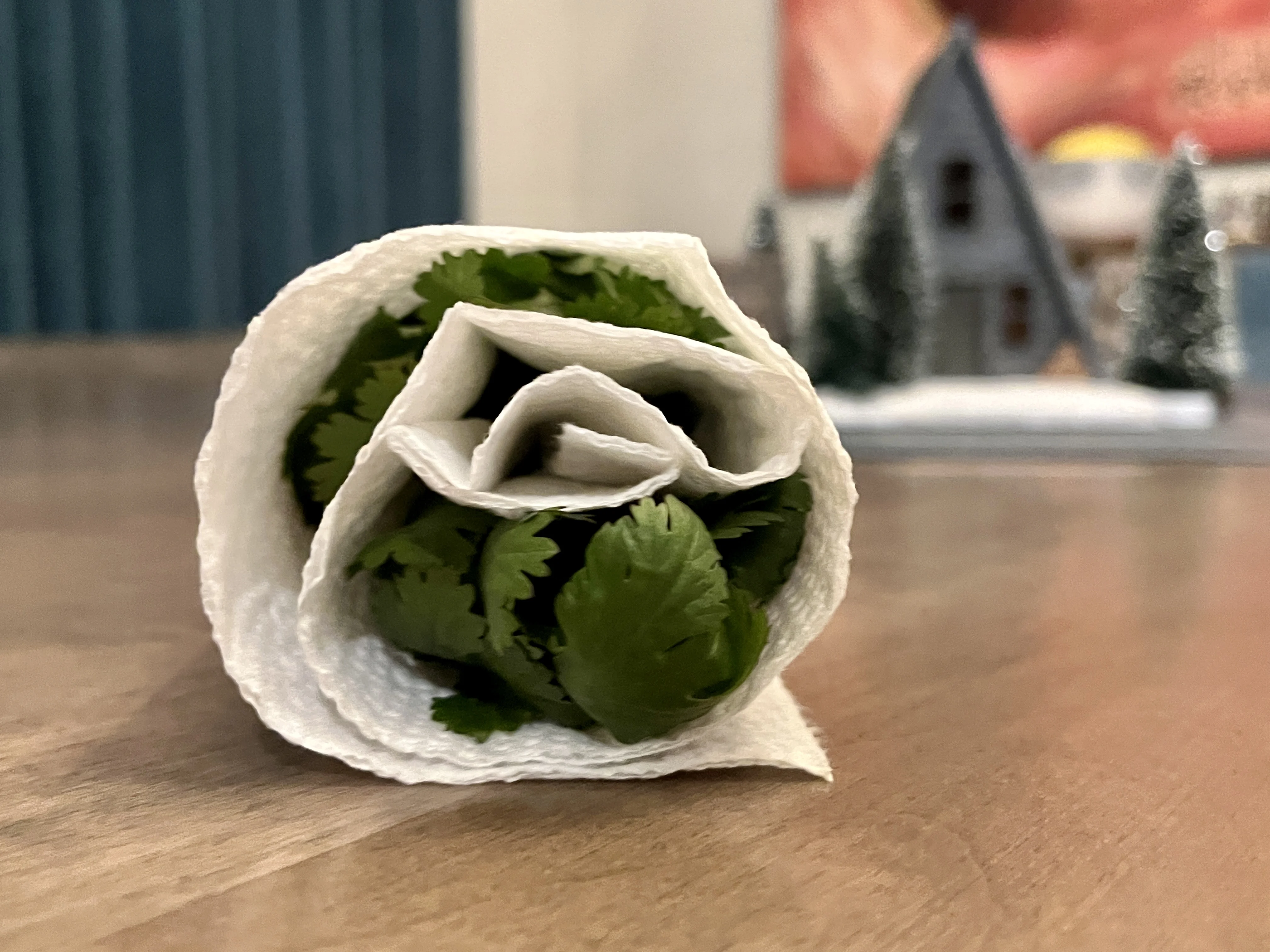 hara-dhanya-(cilantro)-storage