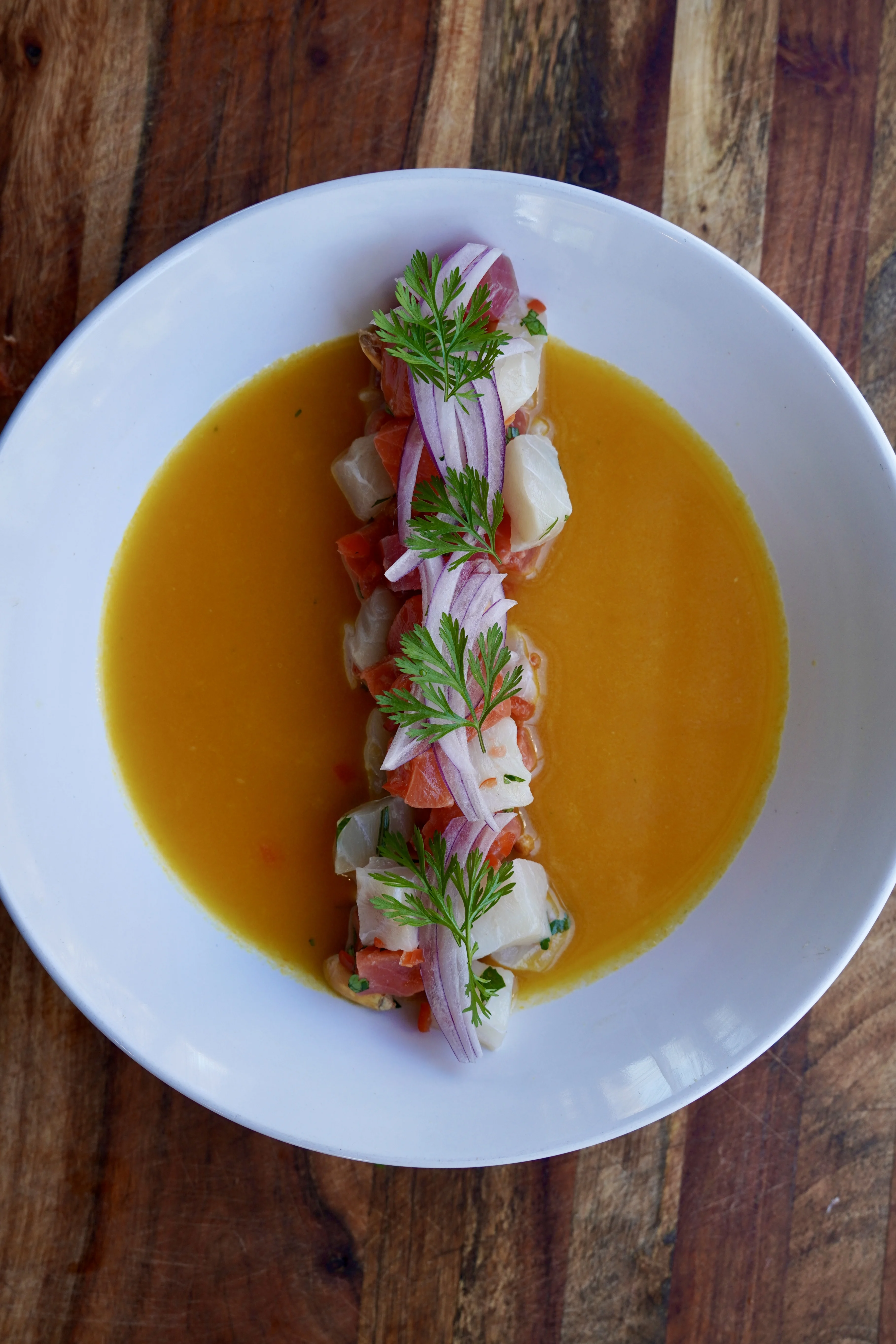 ceviche-de-pescado-fish-ceviche