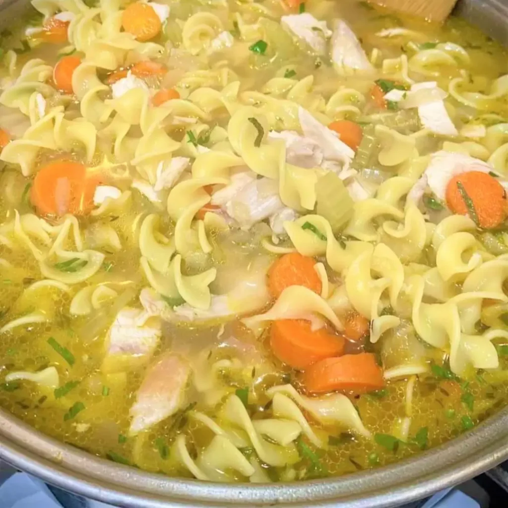 chicken-noodle-soup