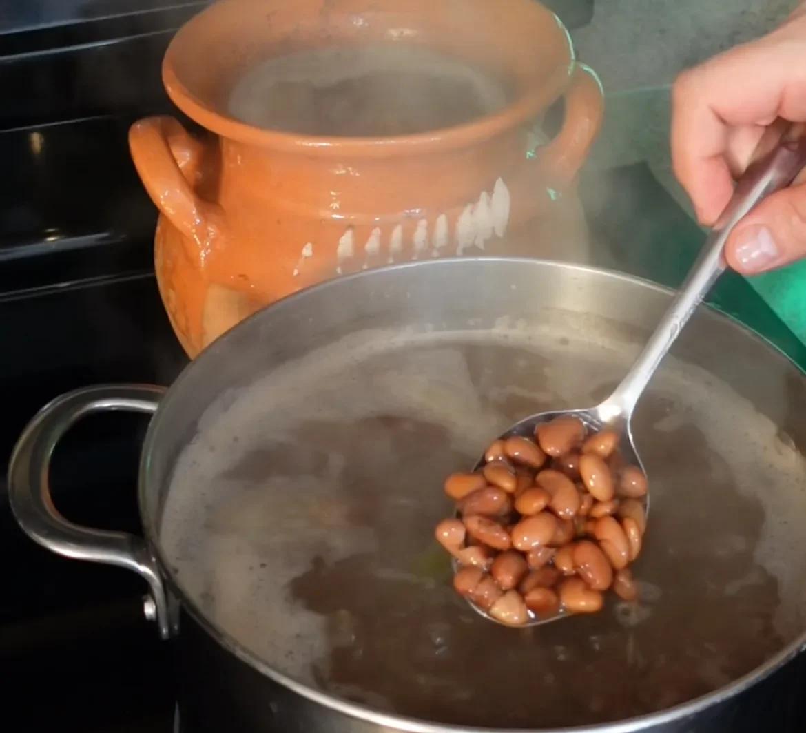 frijoles-pintos-(pinto-beans)