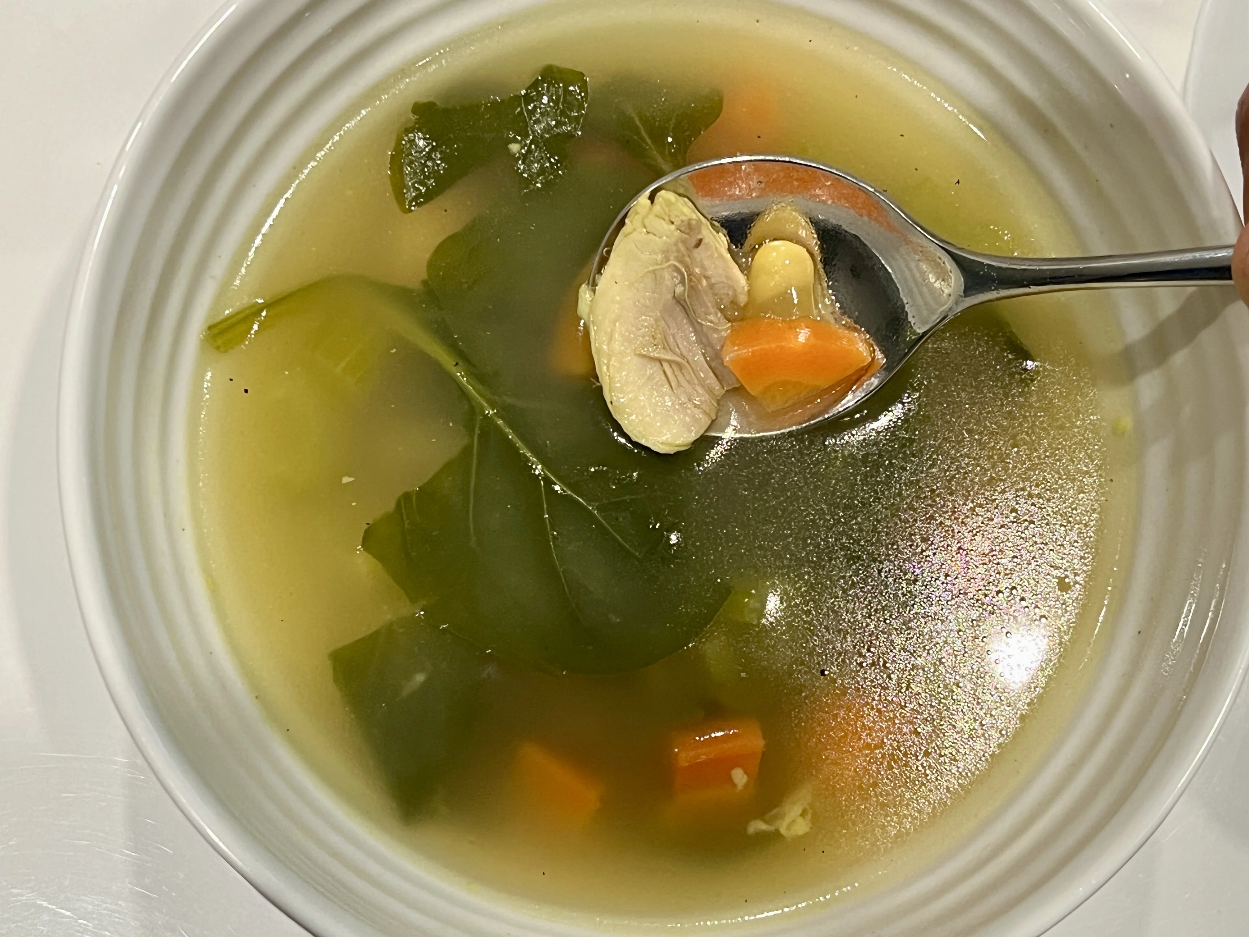v-log-chicken-soup