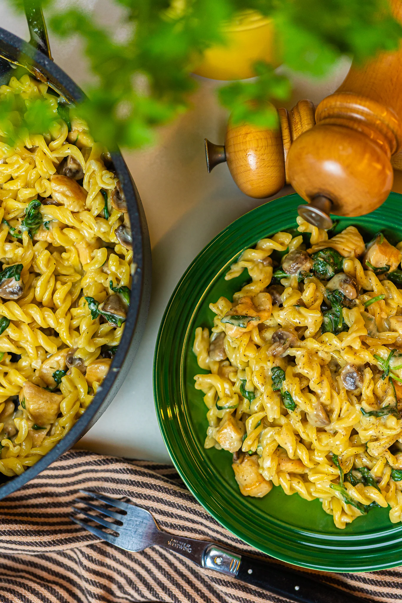 macarrao-com-frango-e-espinafre