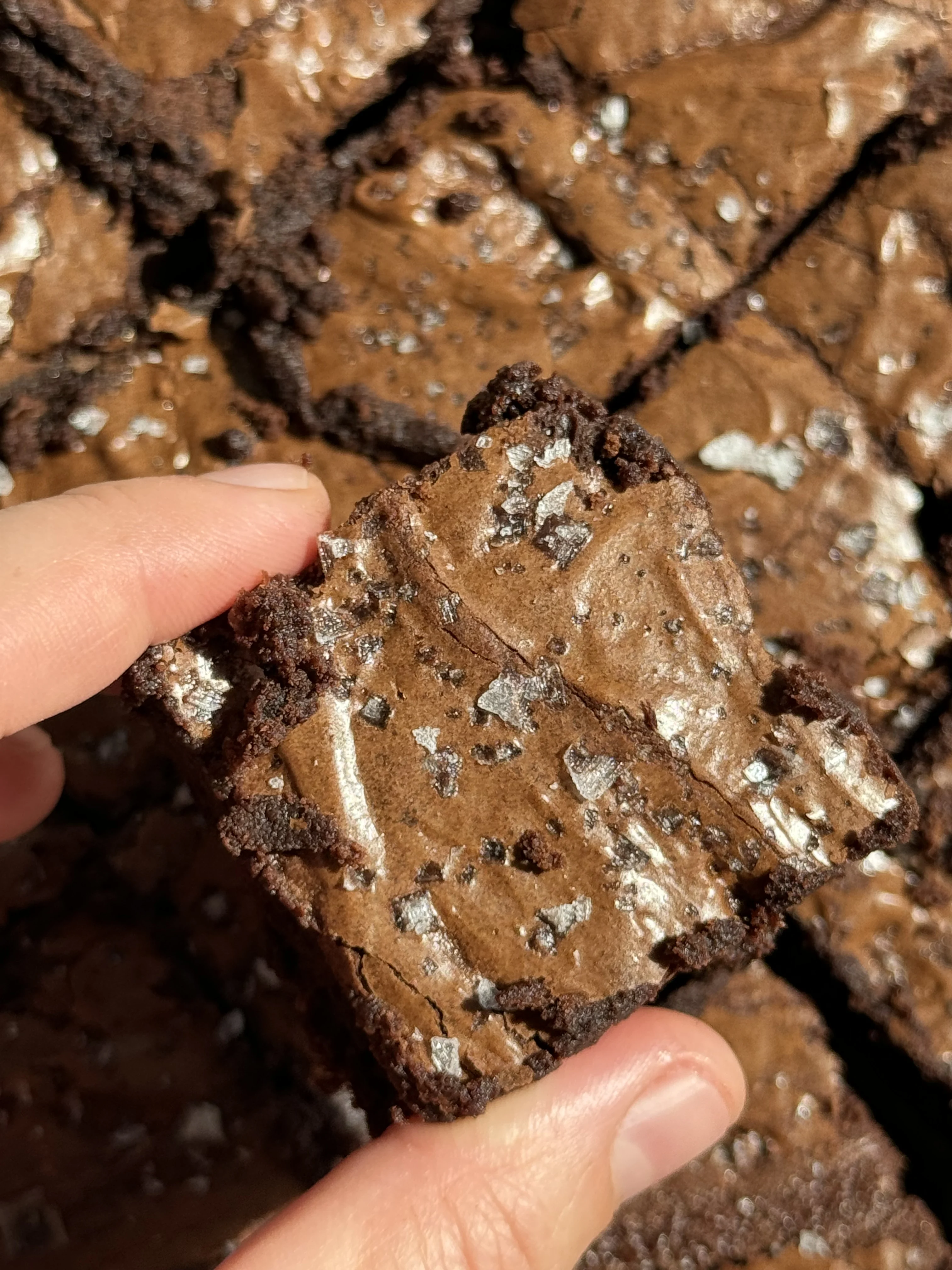 fudgy-and-crinkly-brownies