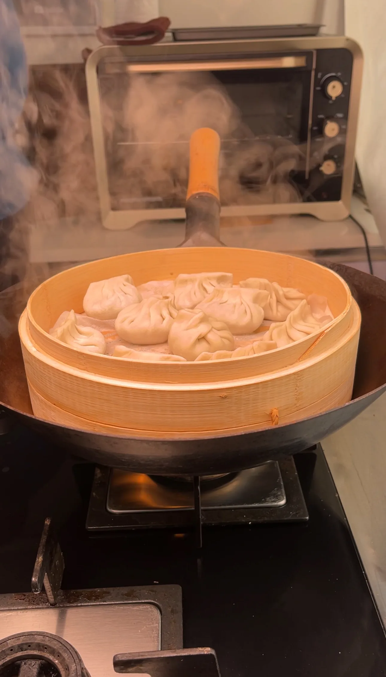 soya-momos-(using-autolyse-method)