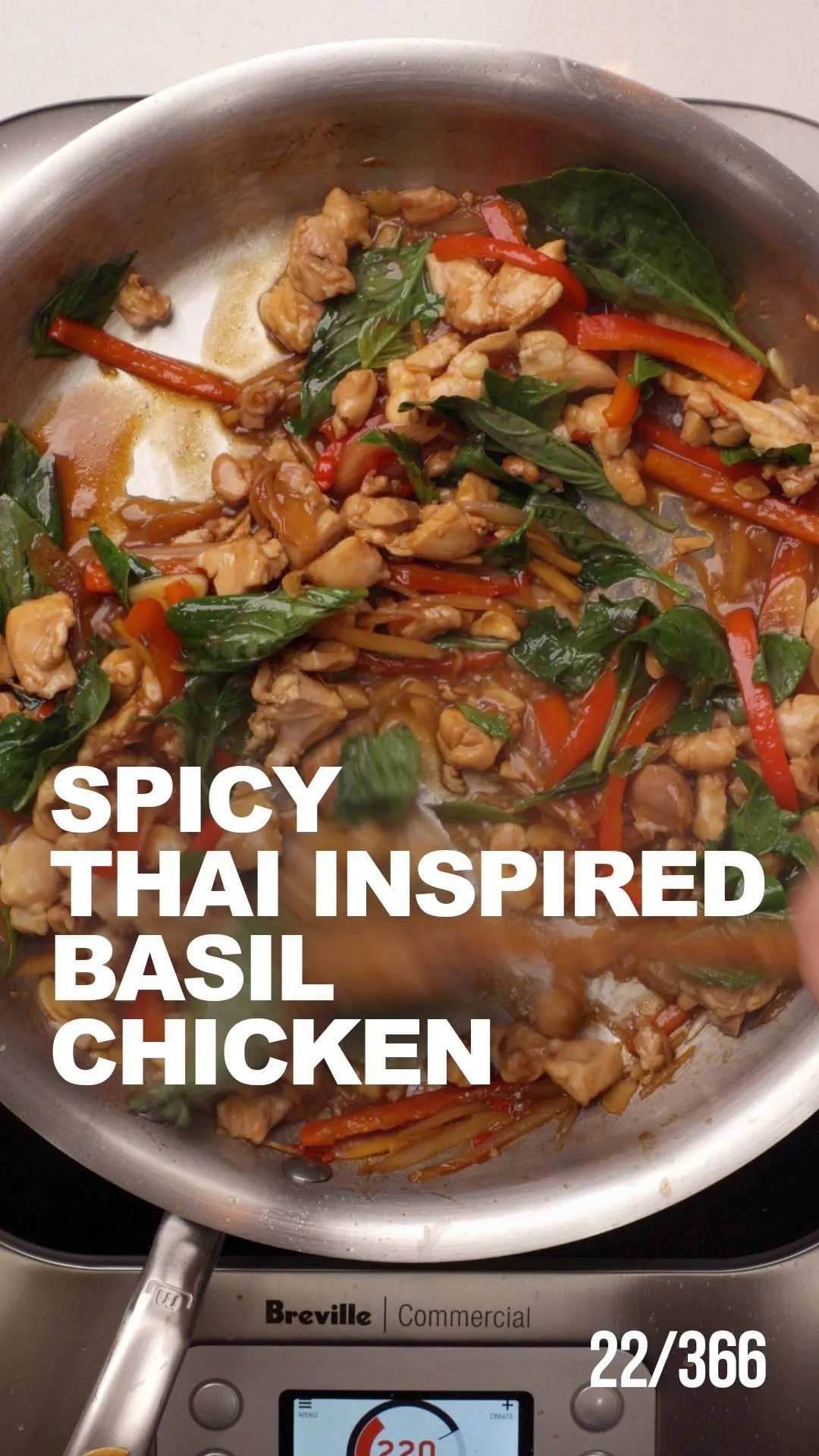 thai-basil-chicken