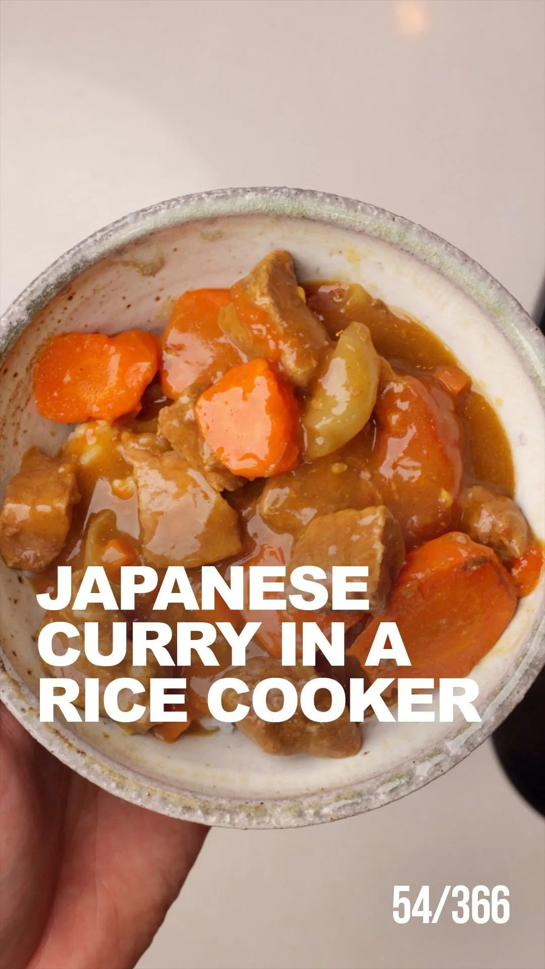 rice-cooker-curry