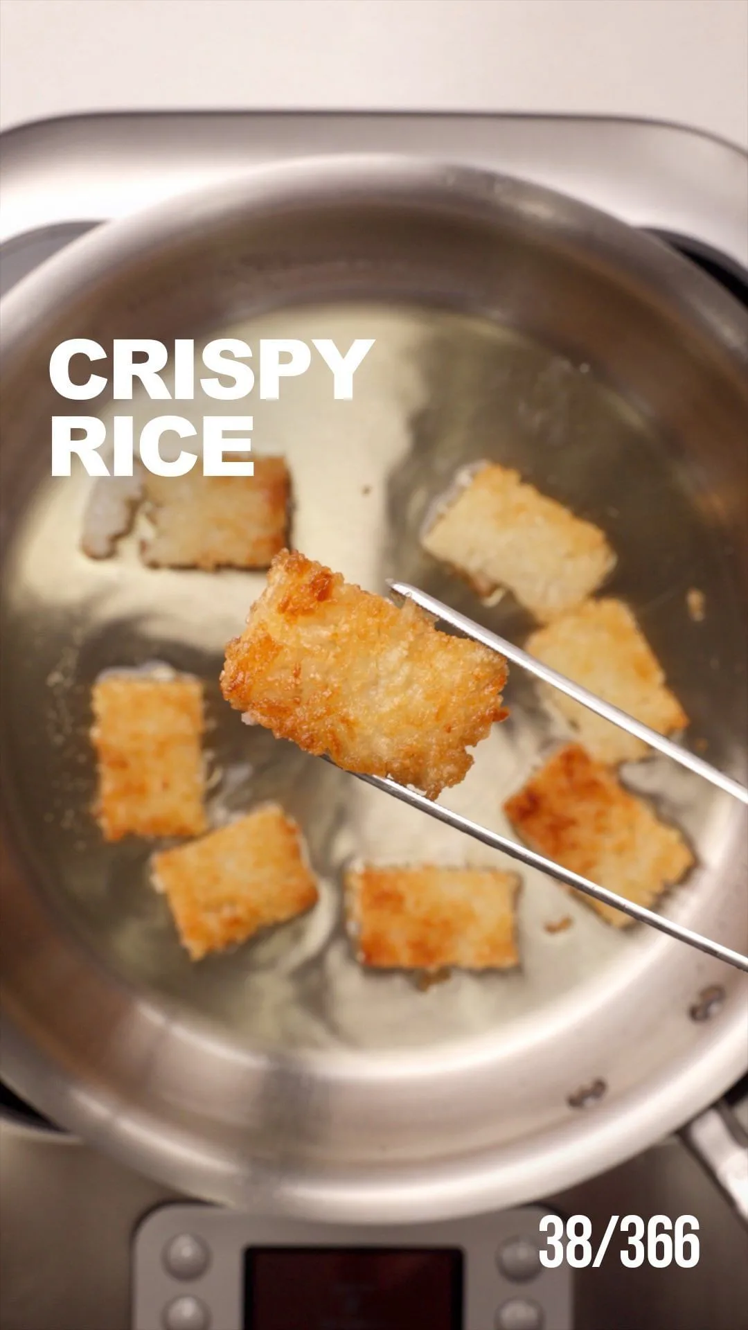 crispy-rice-tuna-bites