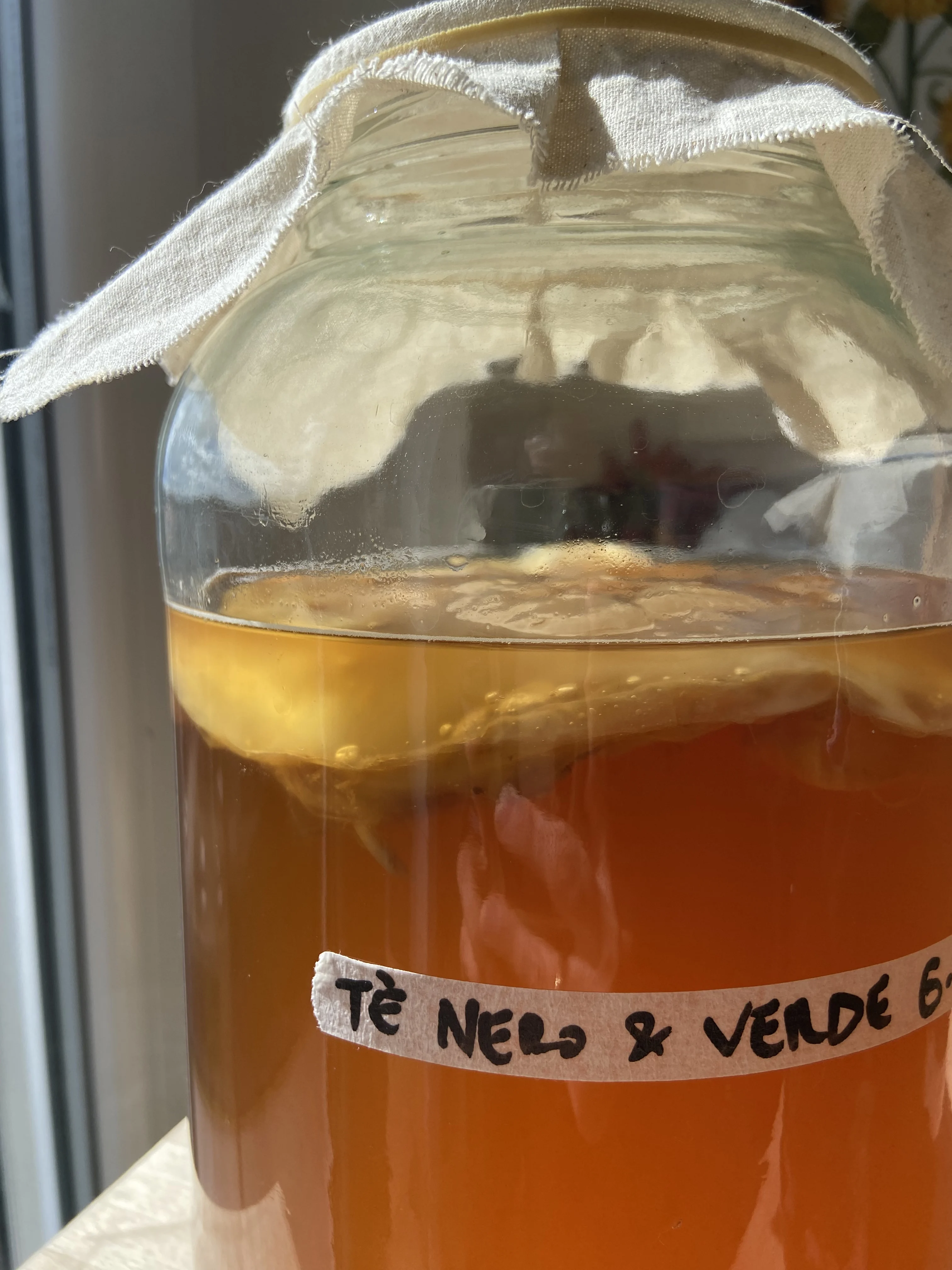 kombucha-base