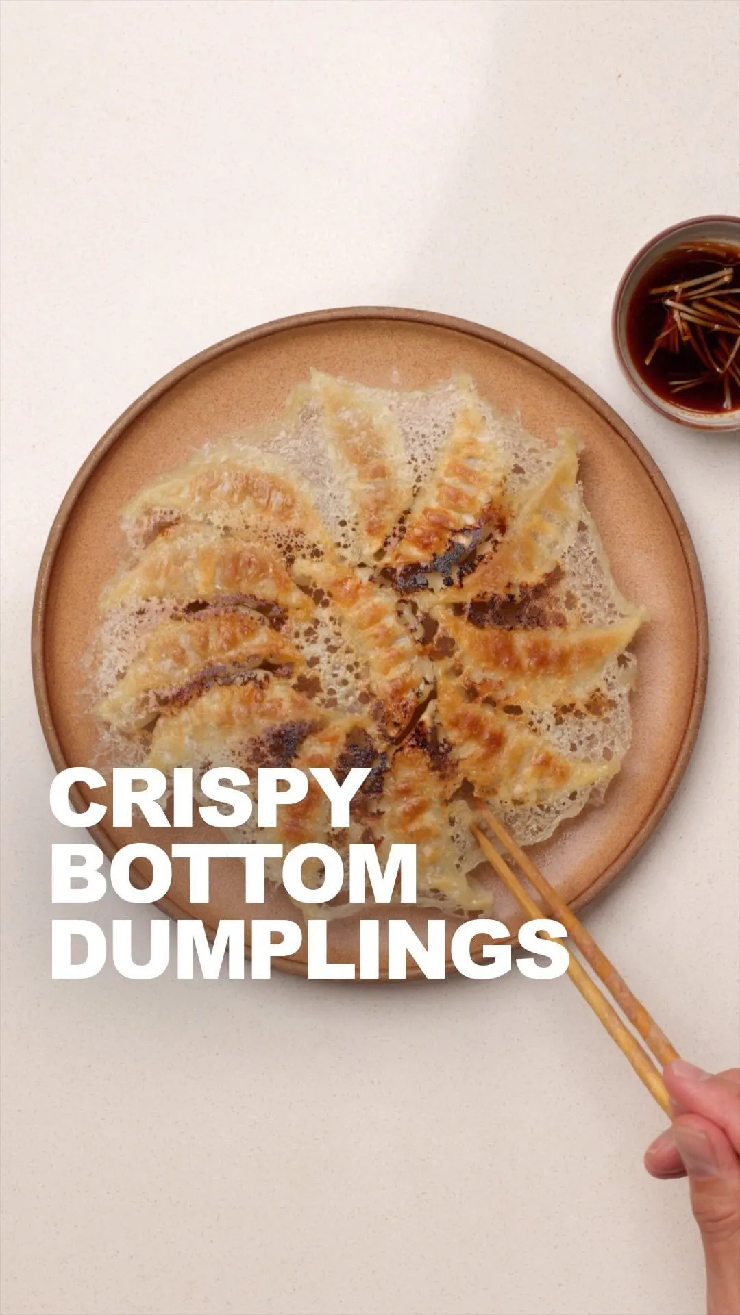 crispy-dumplings