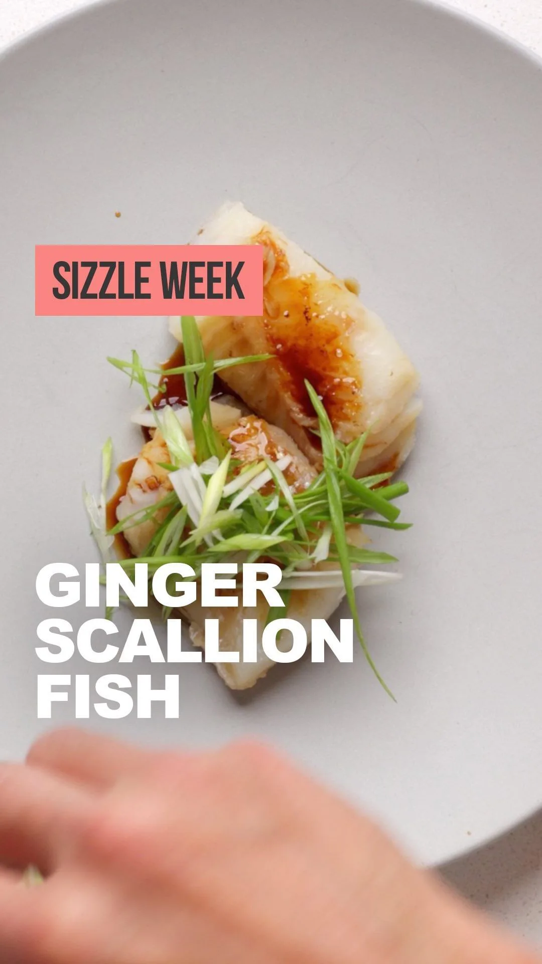 steamed-cod-w-ginger-scallion-oil