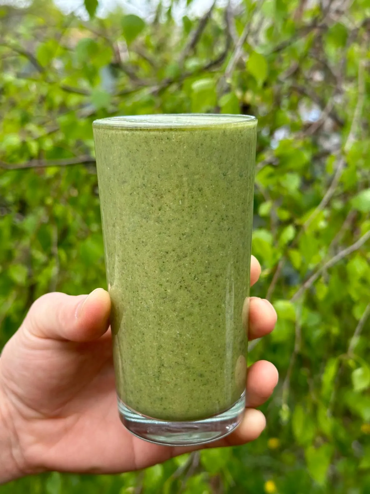 green-power-smoothie