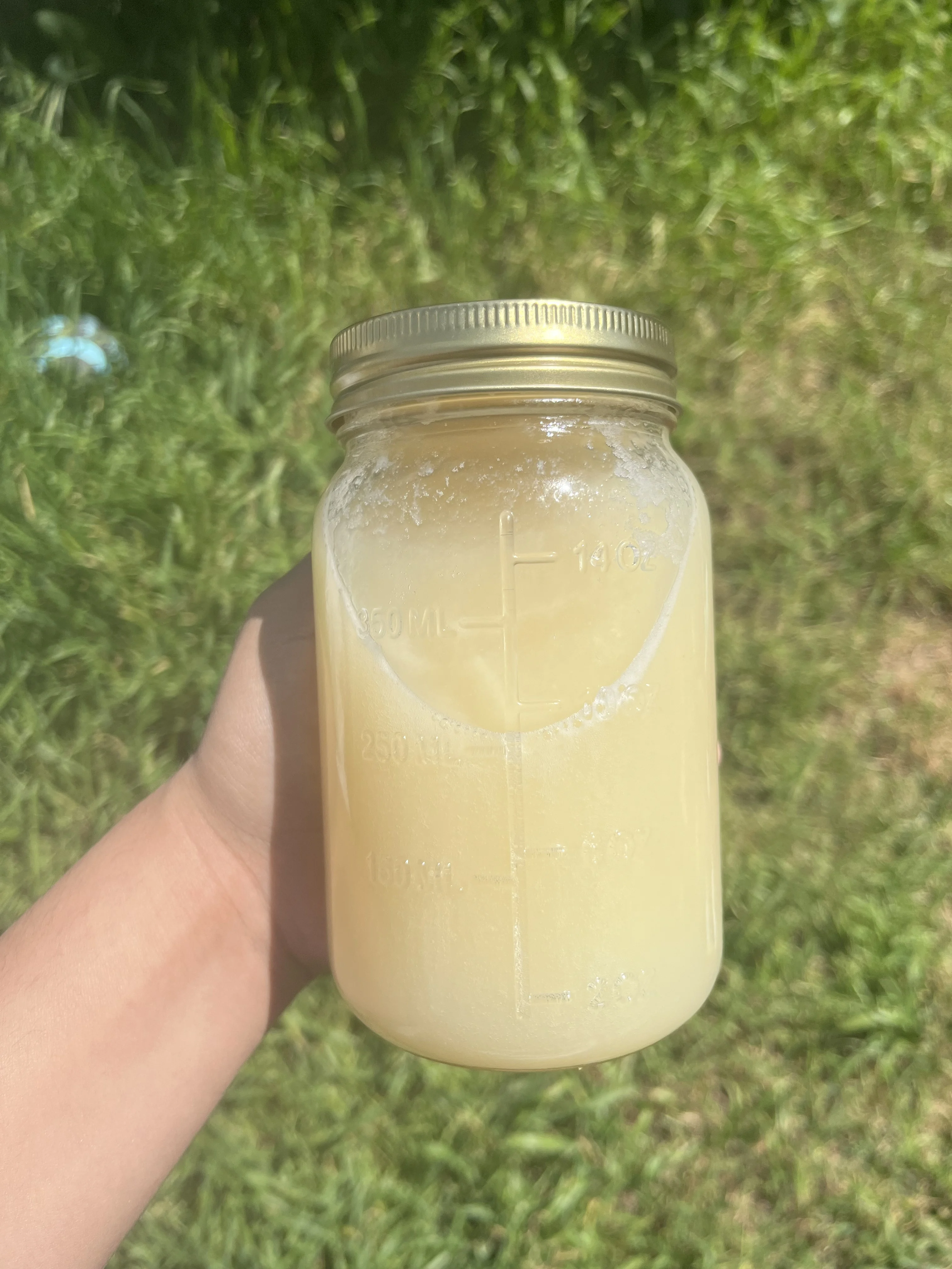 golden-milk