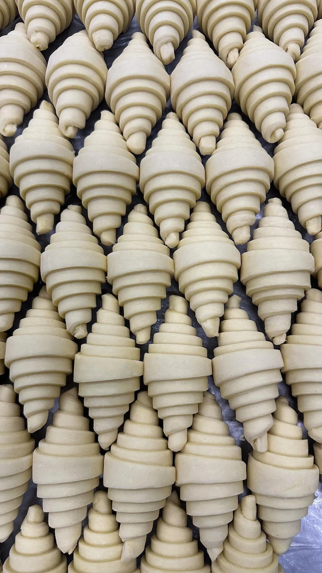 croissants-croissants