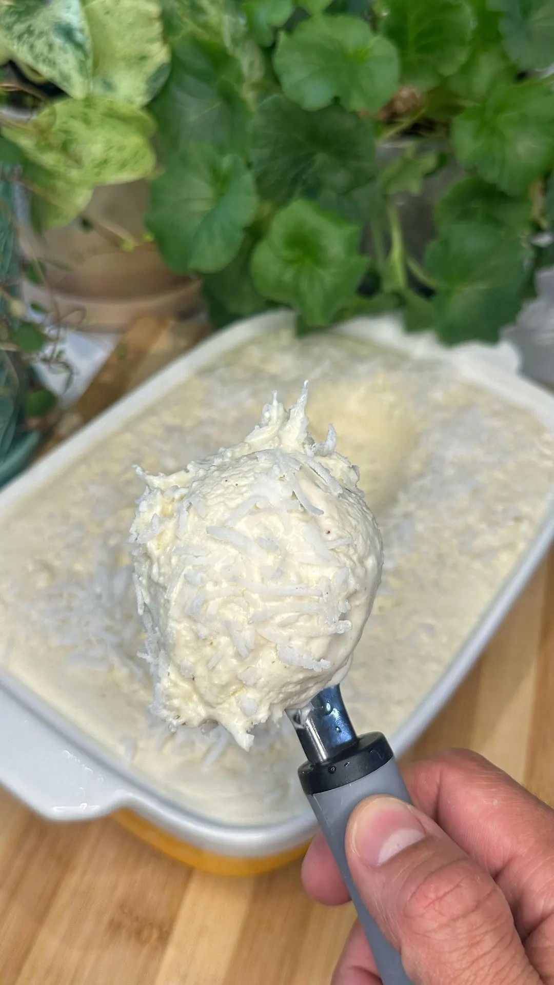 helado-de-coco-cremoso-creamy-coconut-ice-cream
