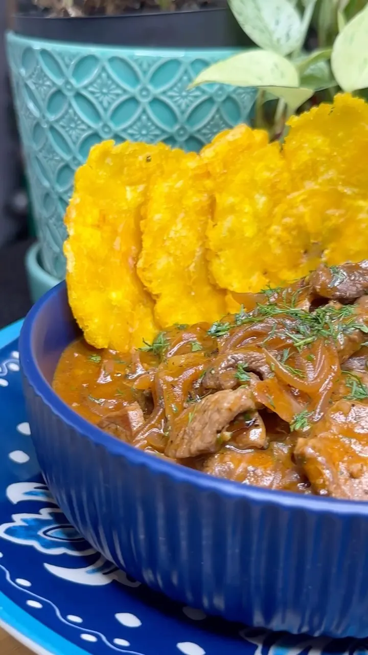 carne-encebollada-meat-with-onions