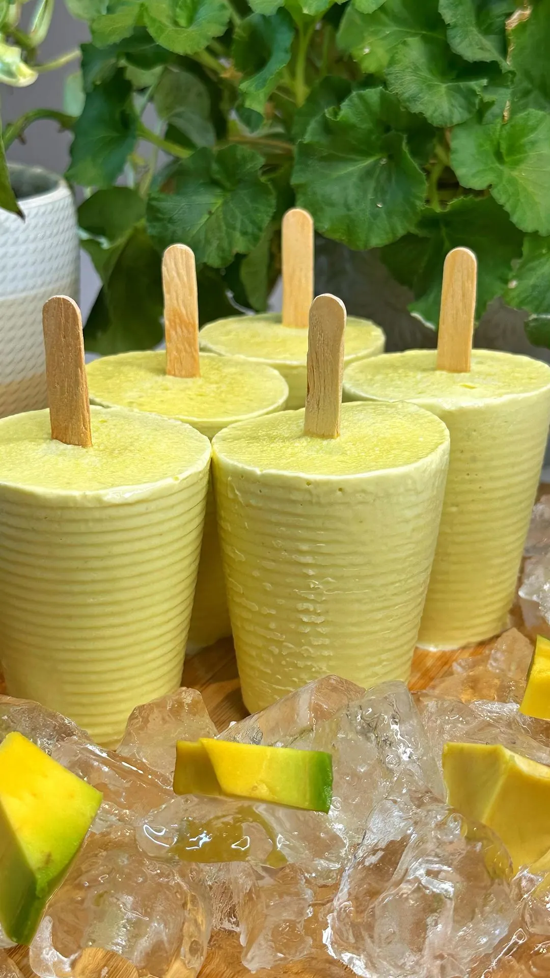 paletas-de-aguacate-avocado-popsicles