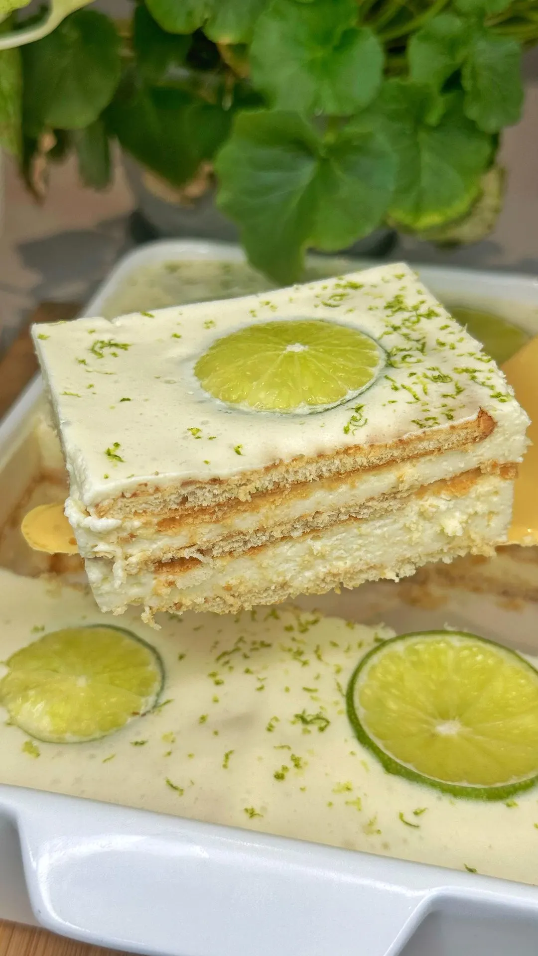 lota-de-limon-lemon-wedge