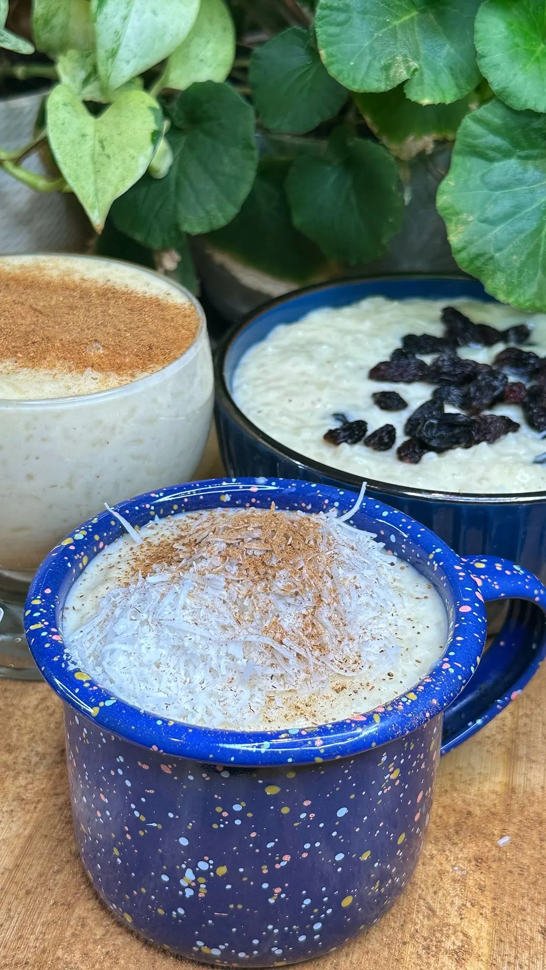 arroz-con-leche-rice-with-milk